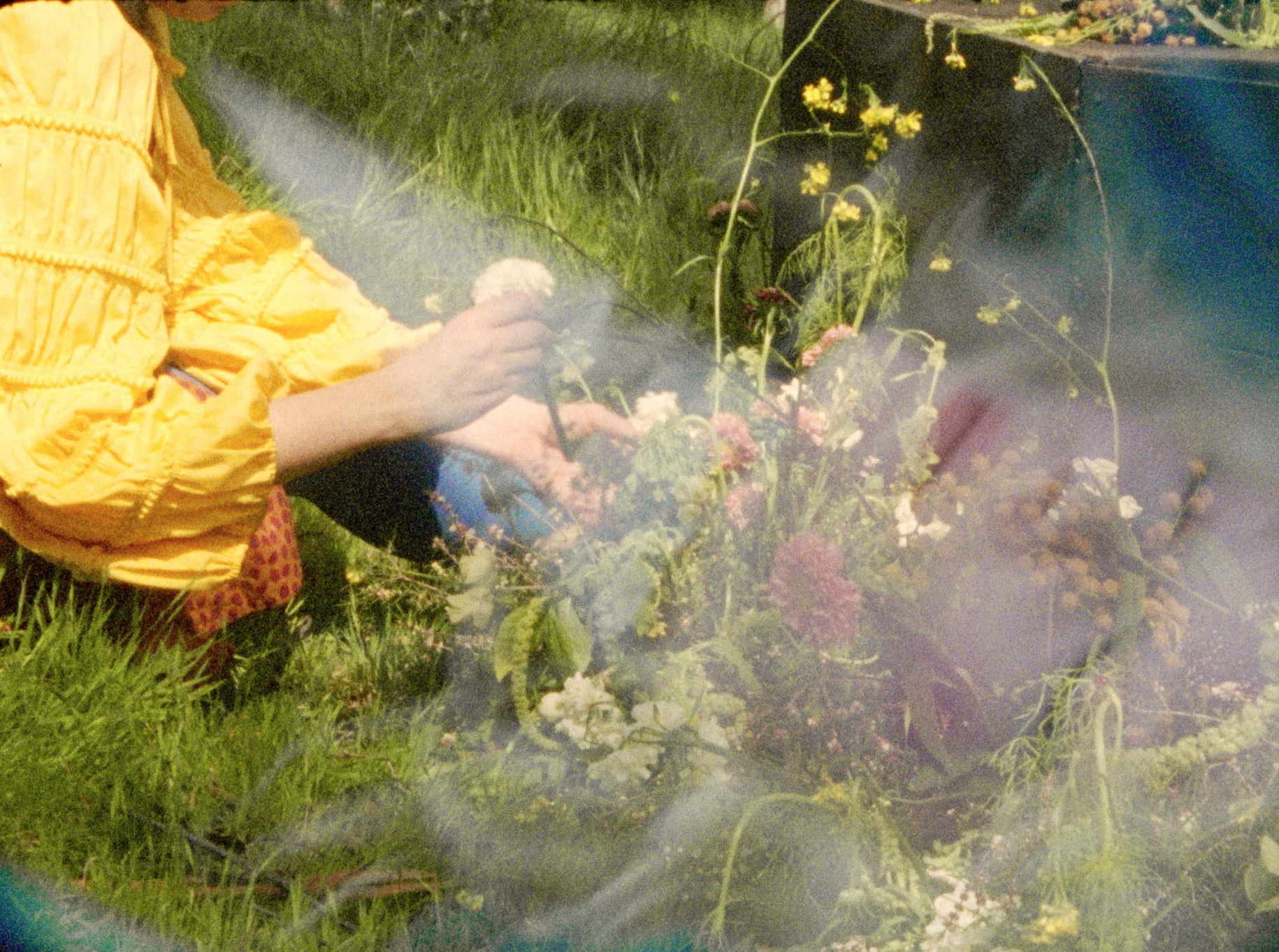 Screen Shot 2024-06-23 at 7.04.17 PM.png