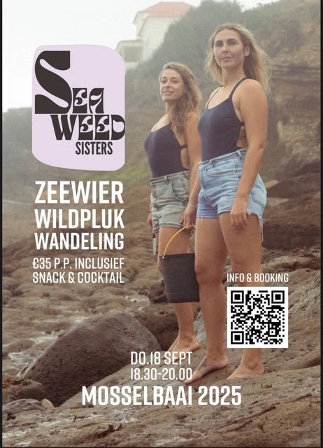 Zeewier wildplukwandeling & Cocktails @ Bombaai Strandbar Westkapelle