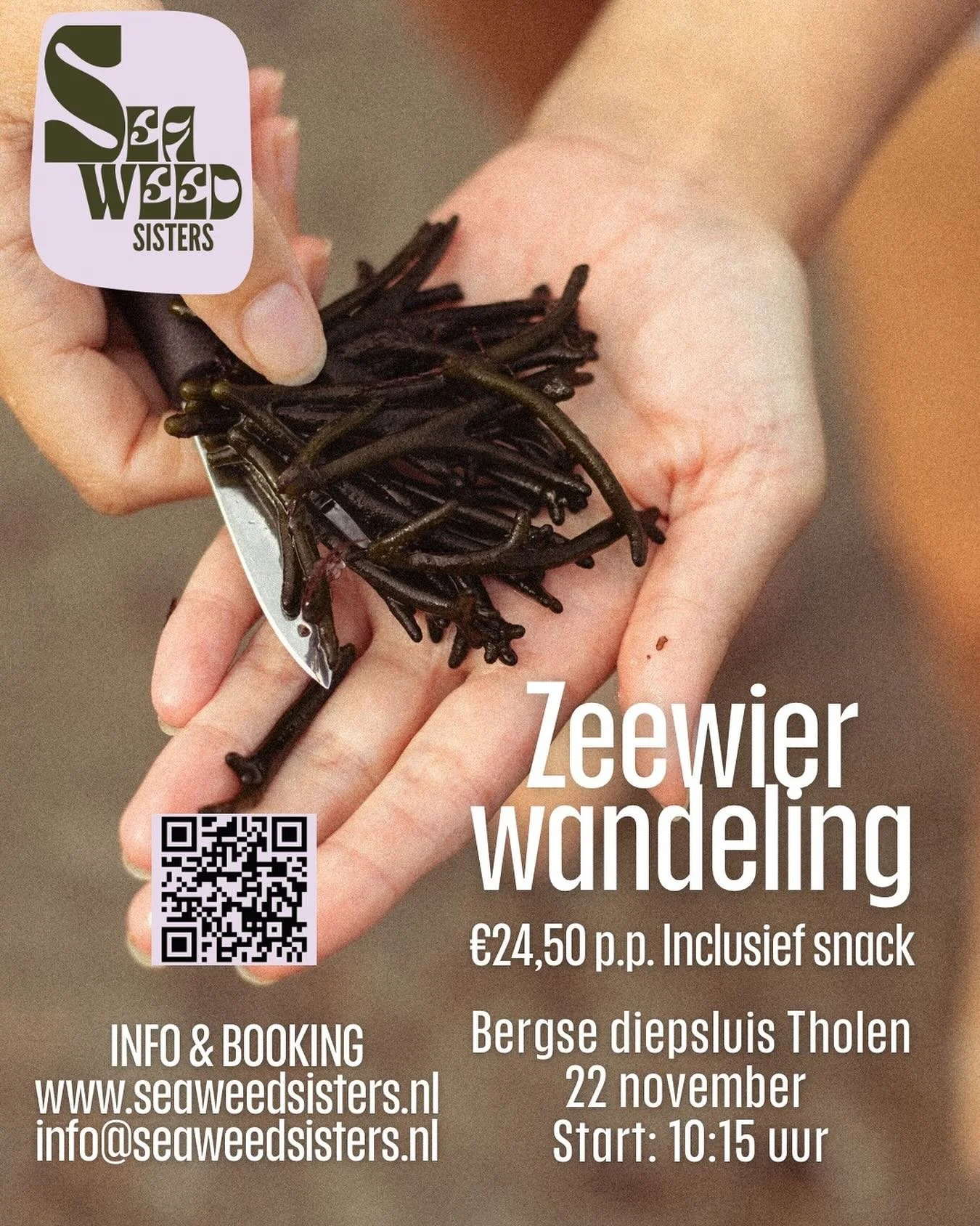 22 november zeewierwandeling Tholen 💚  Meld je snel aan, stuur een e-mail of DM! ~sea you there~ #wandelen #zeewier #seaweed #tholen