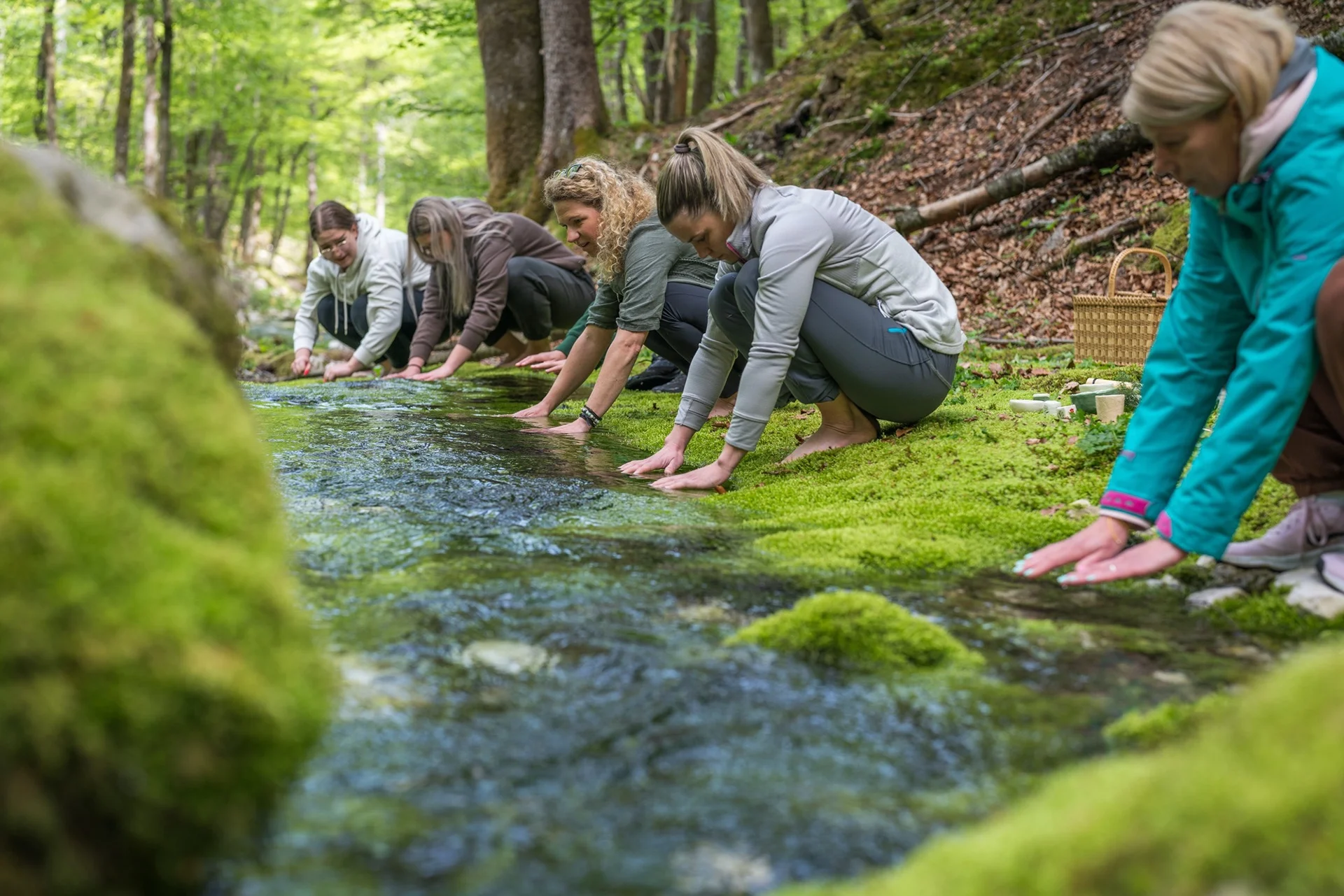 Forest Bathing Slovenia