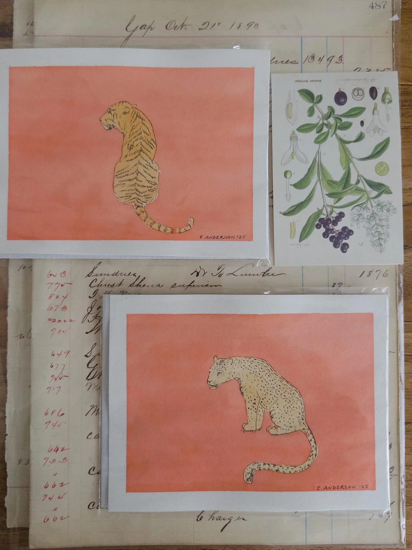 Bittersweet goodbye! Off to their new homes 👀