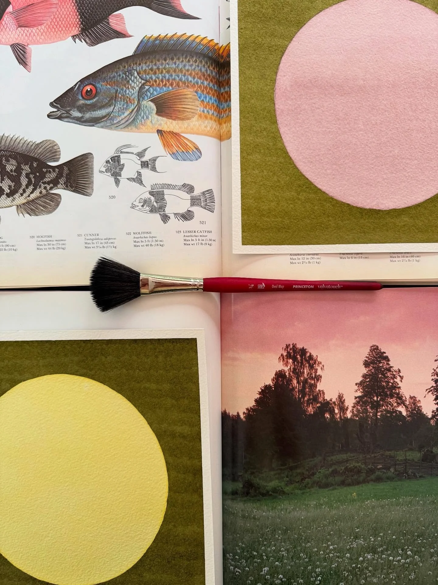 Six new pieces recently added to the website 🌎🌞🌝