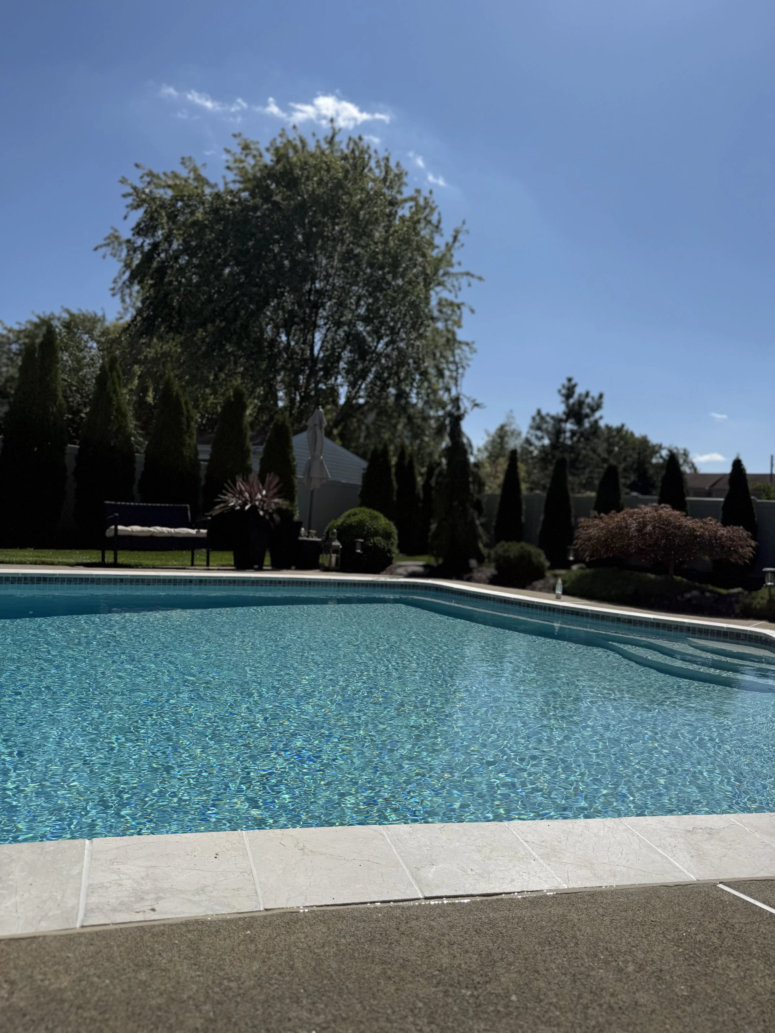 A backyard swimming pool with water reflecting sunlight, surrounded by a concrete deck, and a landscaped garden with trees and shrubs in the background under a clear blue sky.