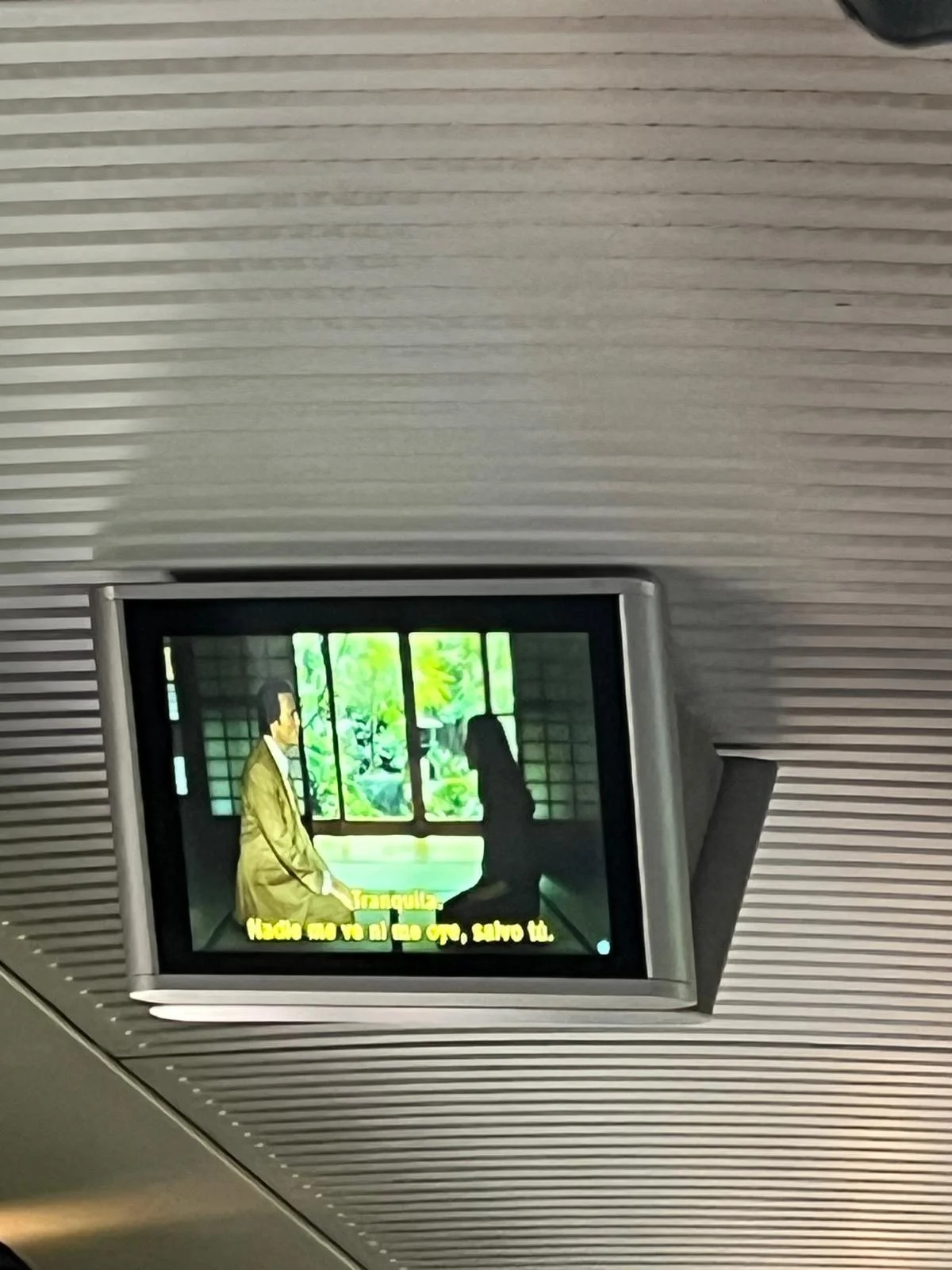 247af8f2-c5b6-4f4d-942a-eddc48108d7e.JPG (copia)