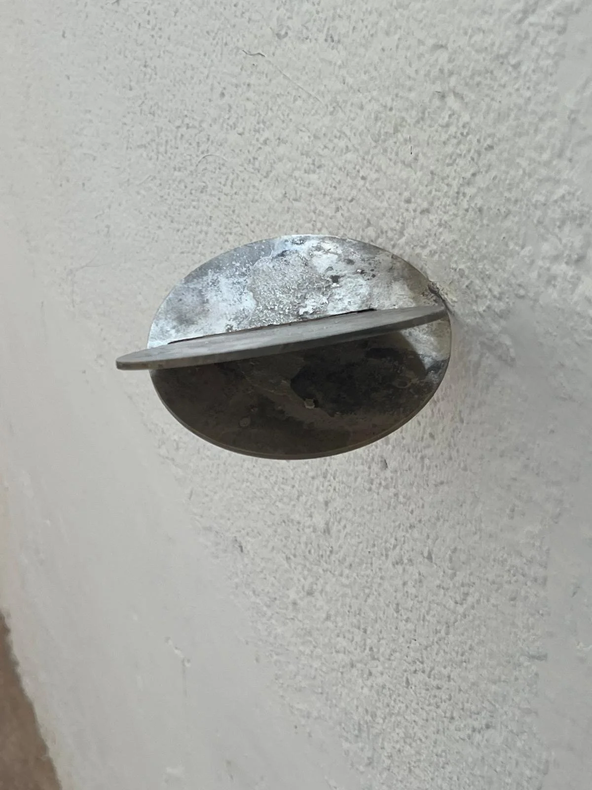 9d50a335-58b2-47bb-82c9-622bff4b59fd.JPG (copia)