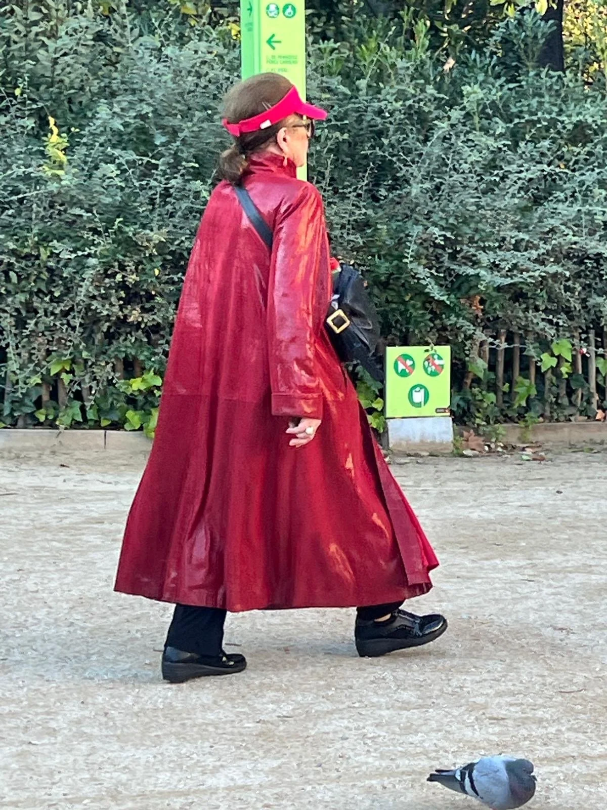 2897b665-9232-4871-93ab-11c58abc1b40.JPG (copia)