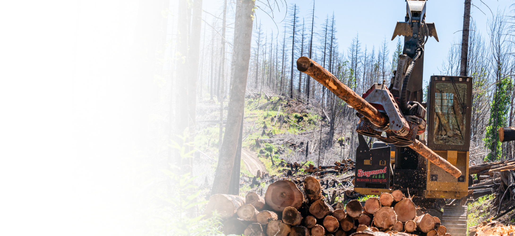 Logging and Contract Cutting — Siegmund Excavation & Construction
