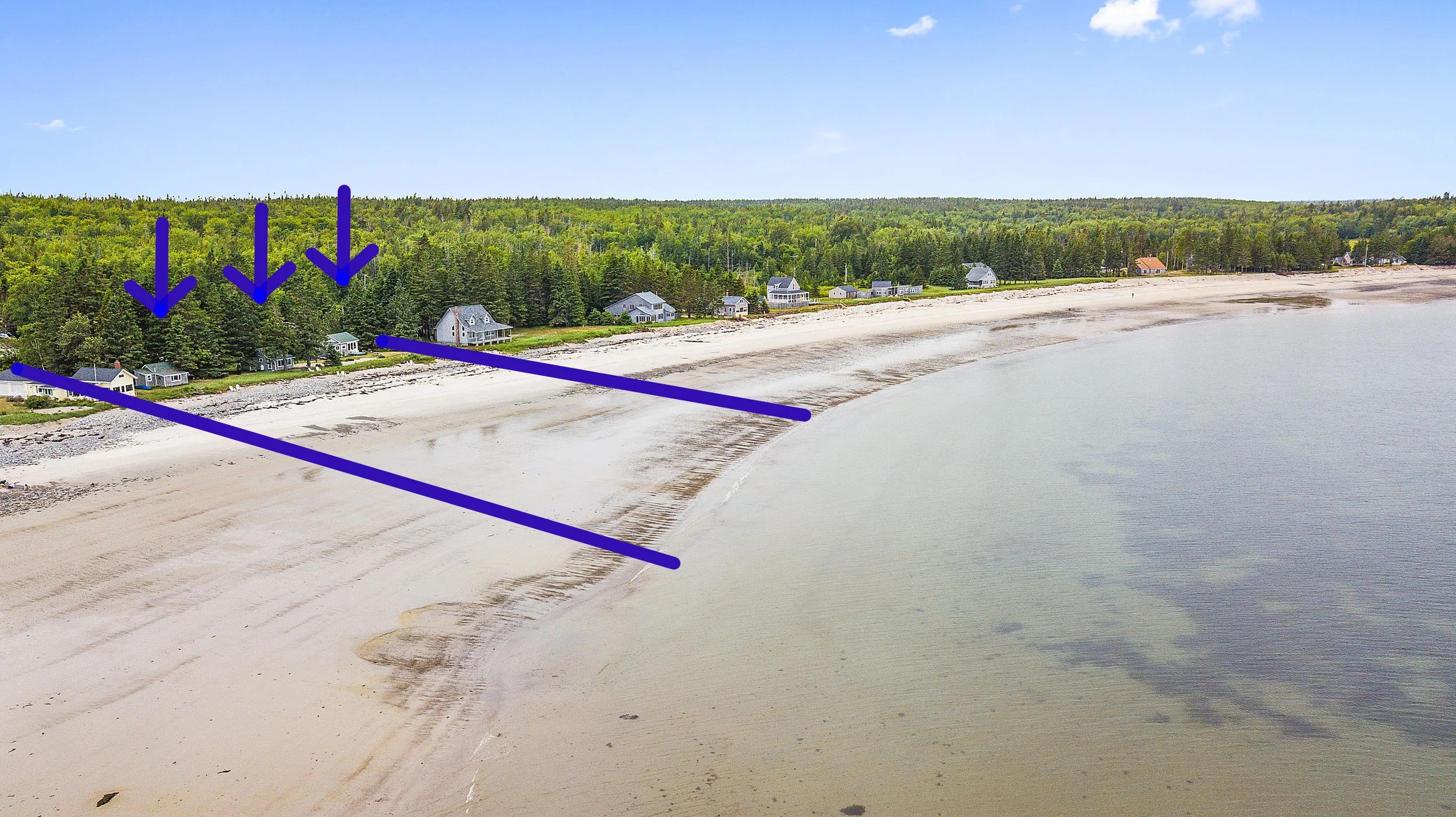 Aerial view of a beach with several houses along the shoreline, backed by a dense forest, with blue arrows and lines pointing to specific houses and areas of the beach.