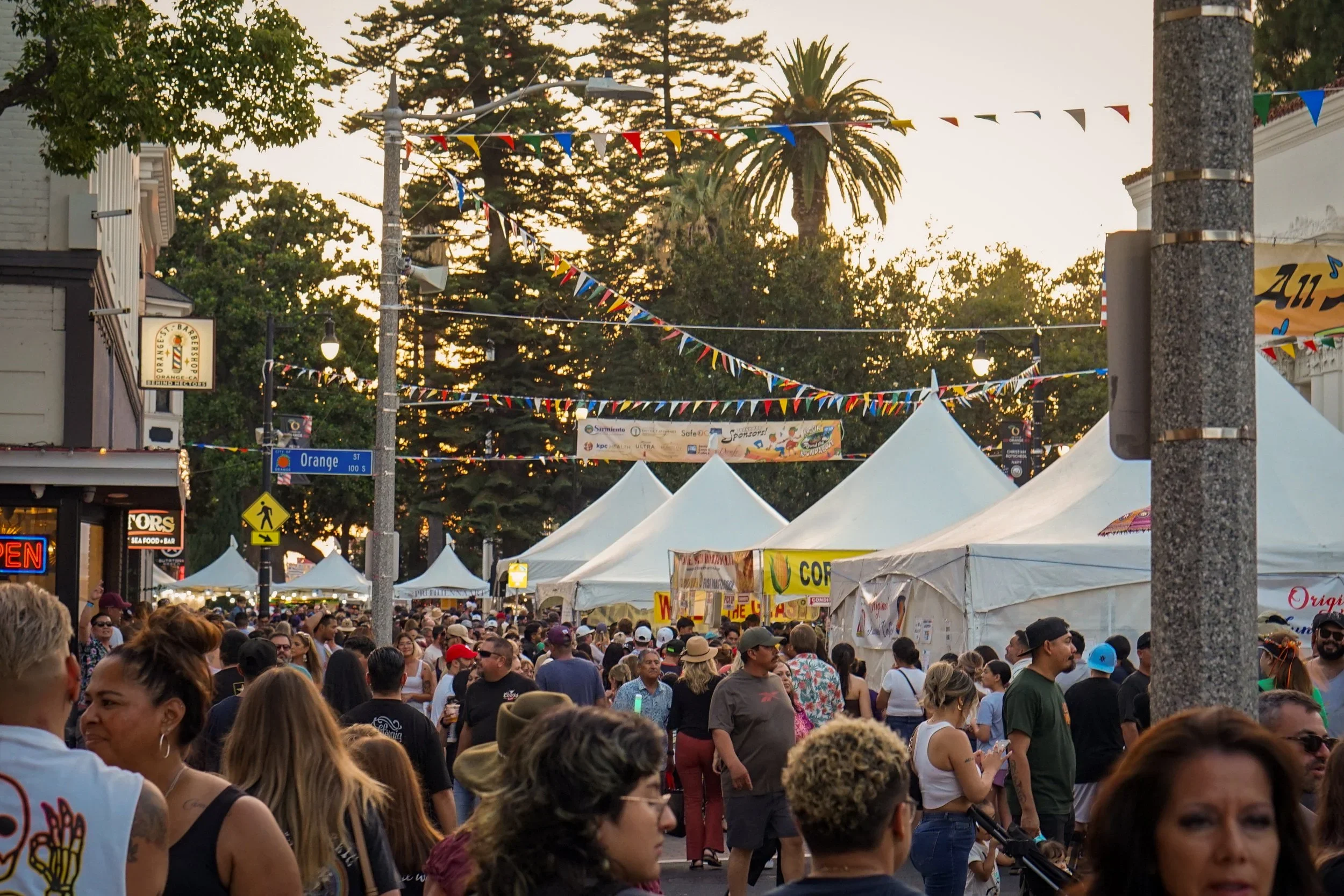 Orange International Street Fair - Interest List