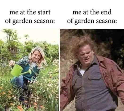 Yup
Can anyone relate? 🙋🏼&zwj;♀️