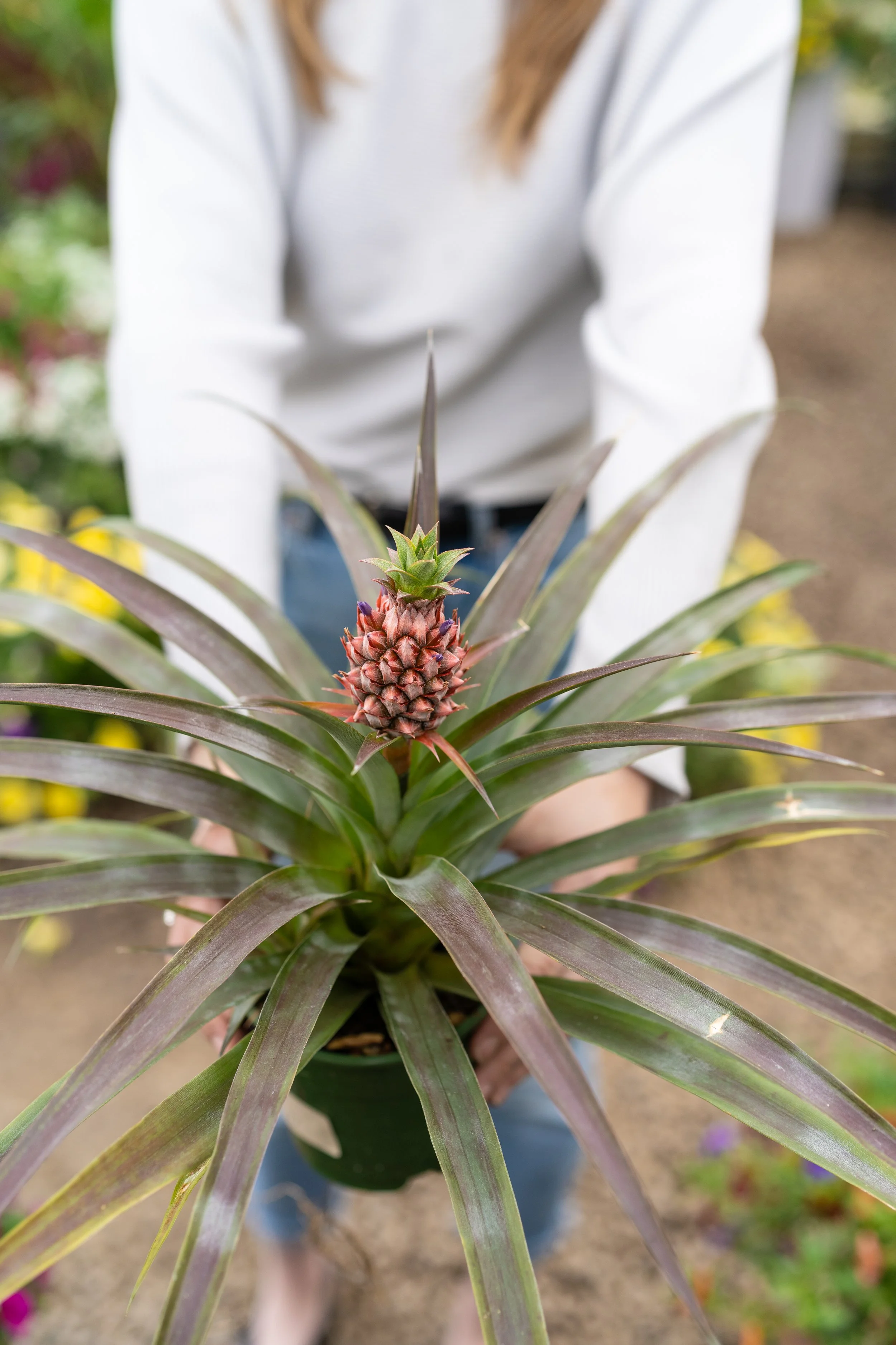 Greenhouse-Family Photos-62-2.jpeg