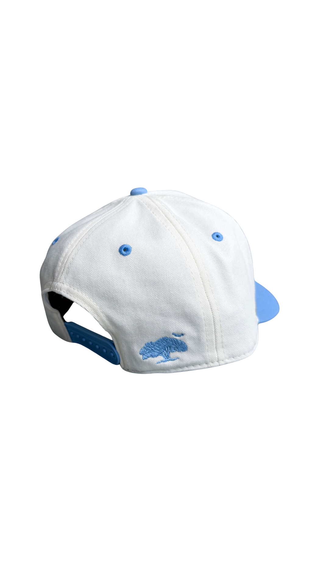 NoBack_FAM_lightblue from the back.png