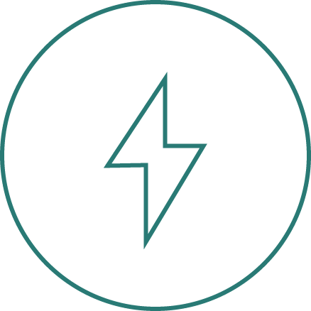 Lightning bolt icon inside a circle.