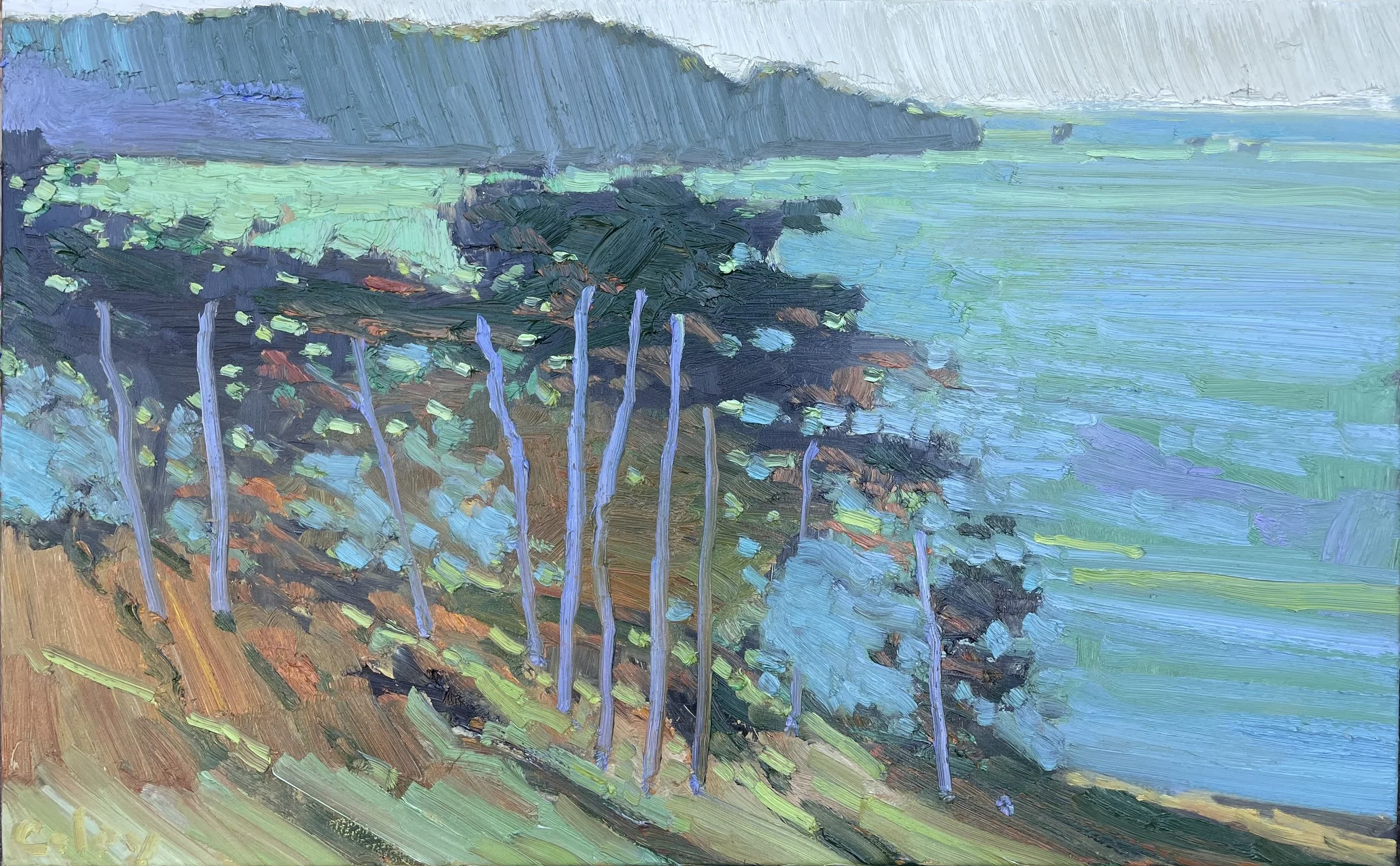Above Baker Beach #200, 30x48"