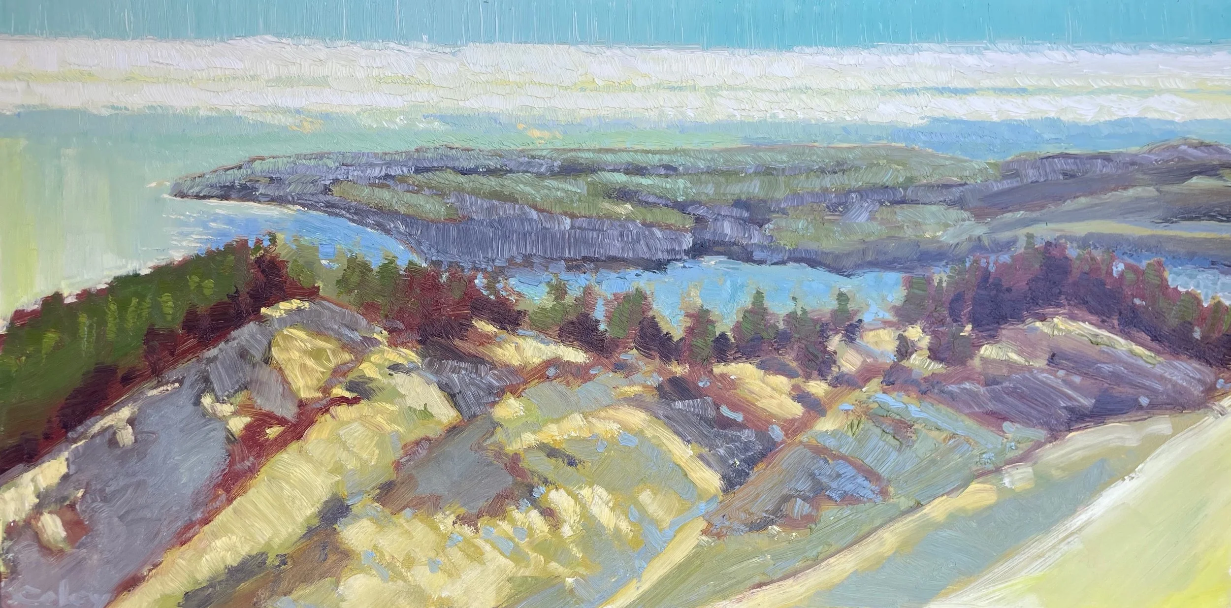 Bolinas Ridge #4, 36x72"