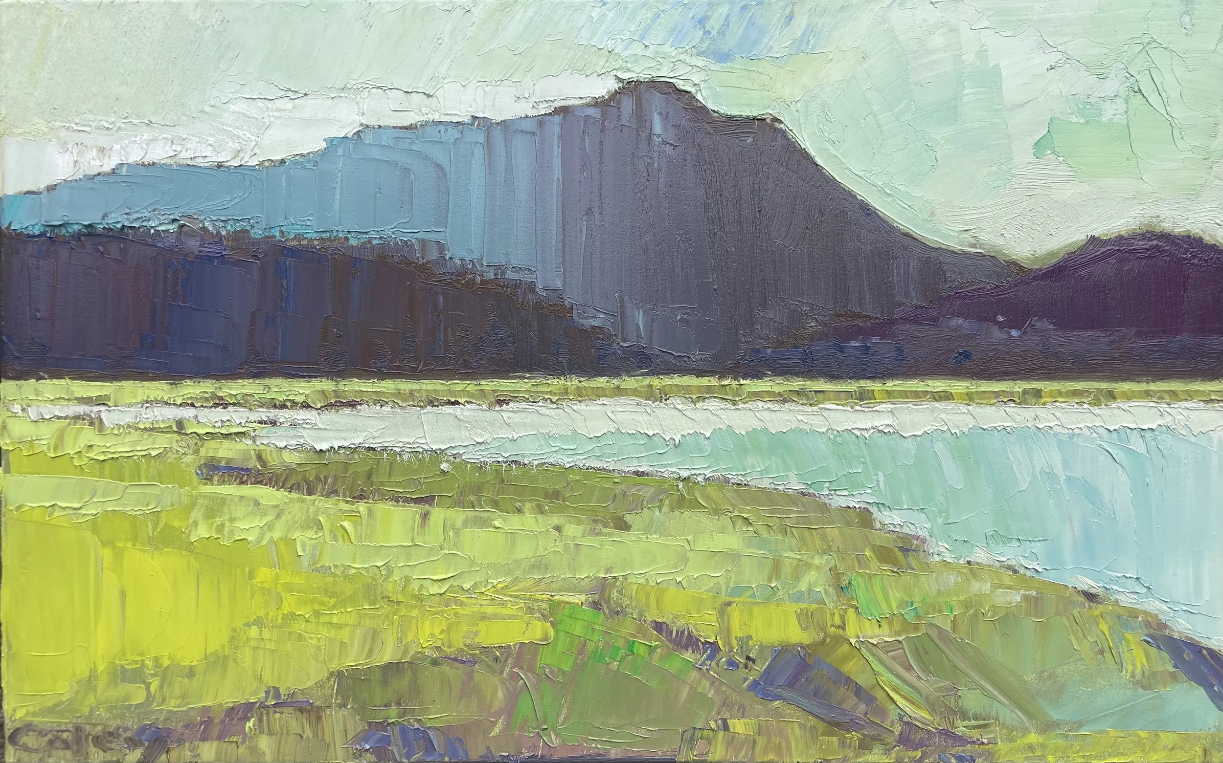 Mt Tam/Richardson Bay #43, 30x48"
