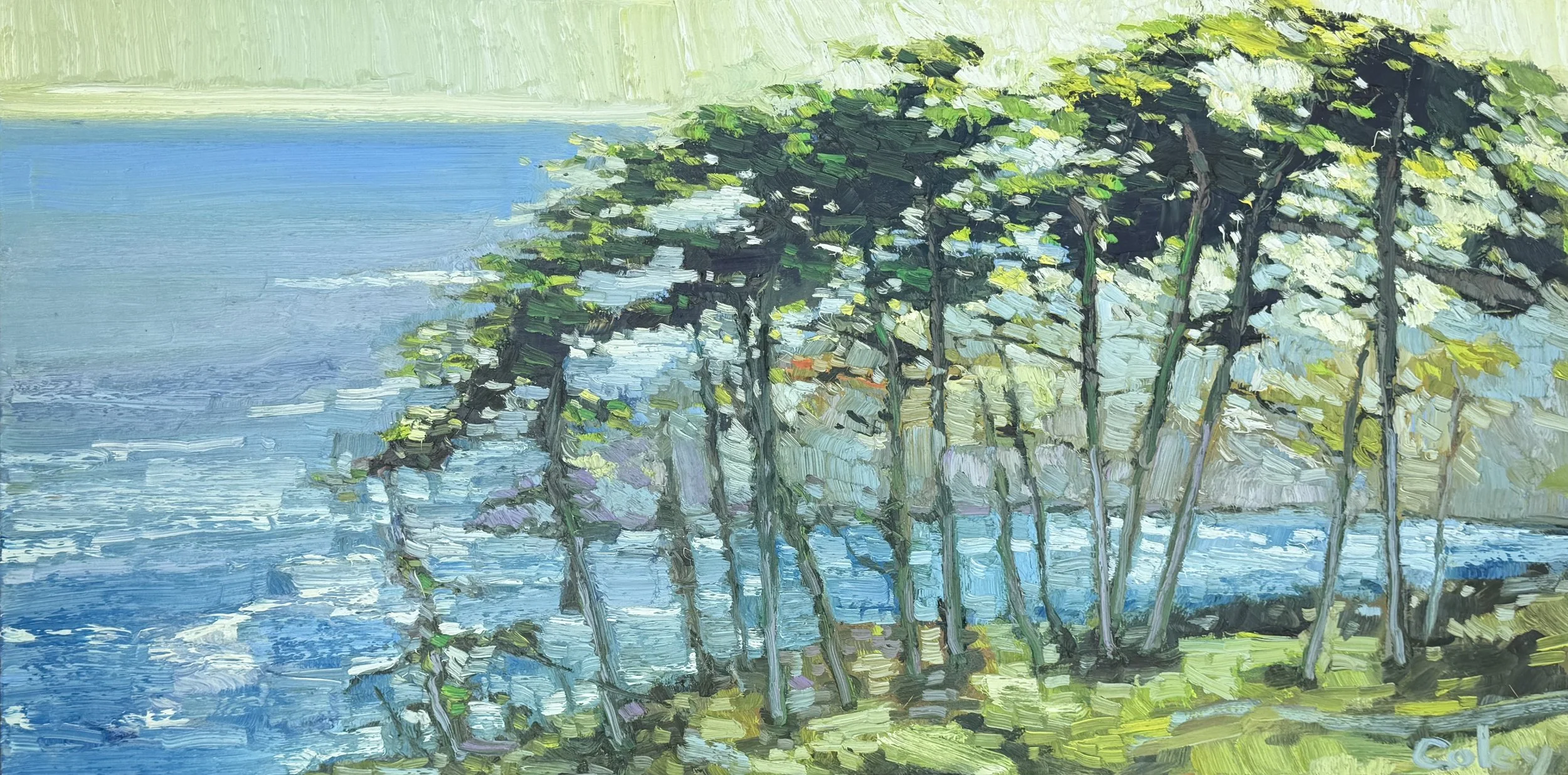Light Above the Cove, 36x72"