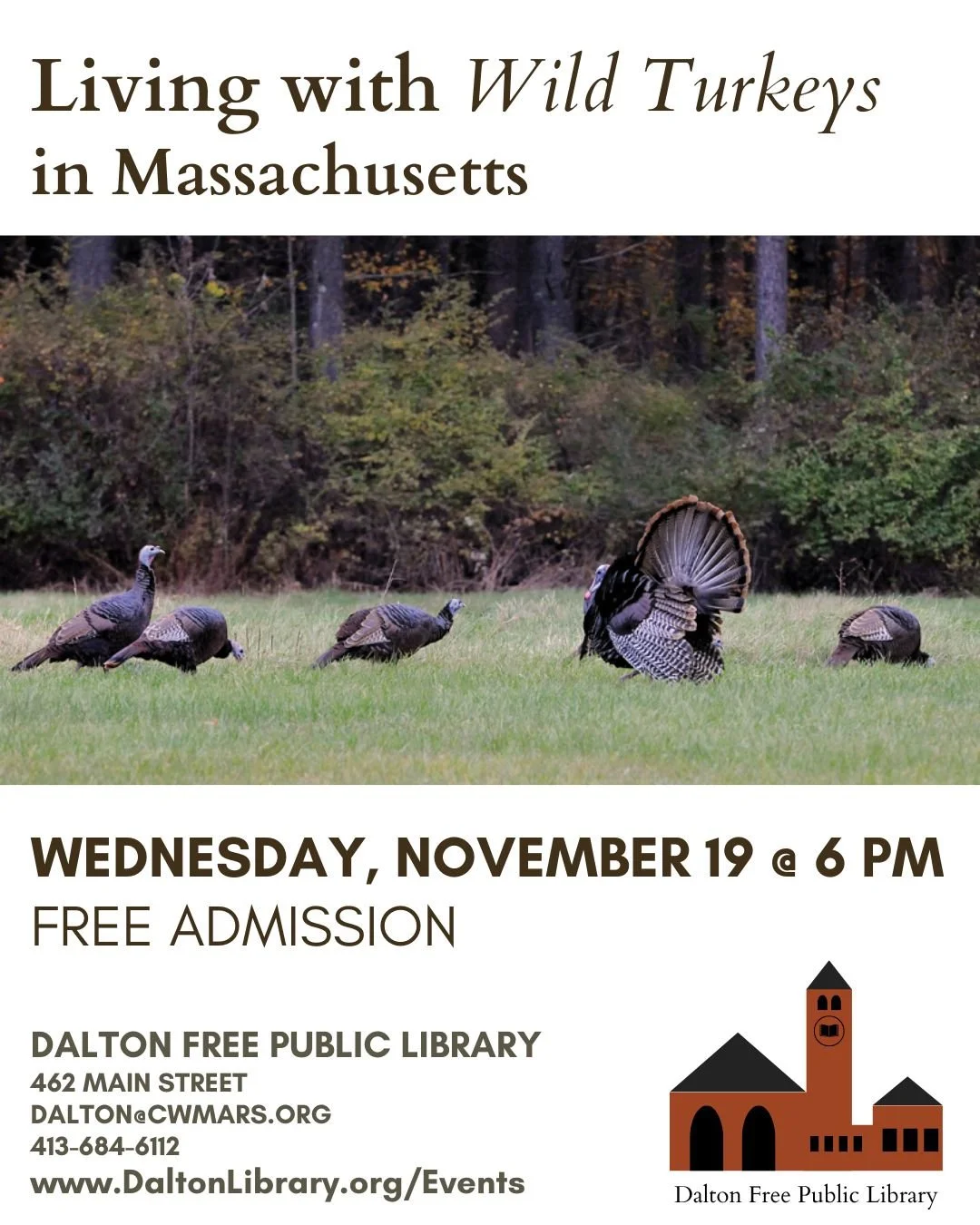 Living with Wild Turkeys in Massachusetts