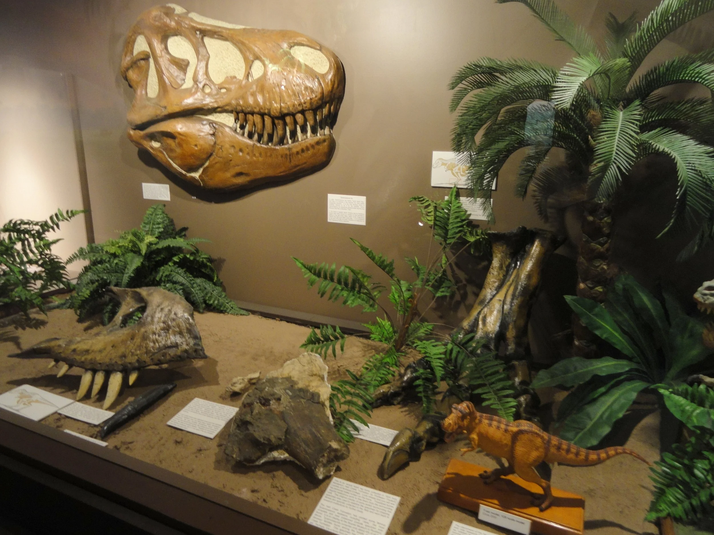 The Springfield Museums (Springfield)
