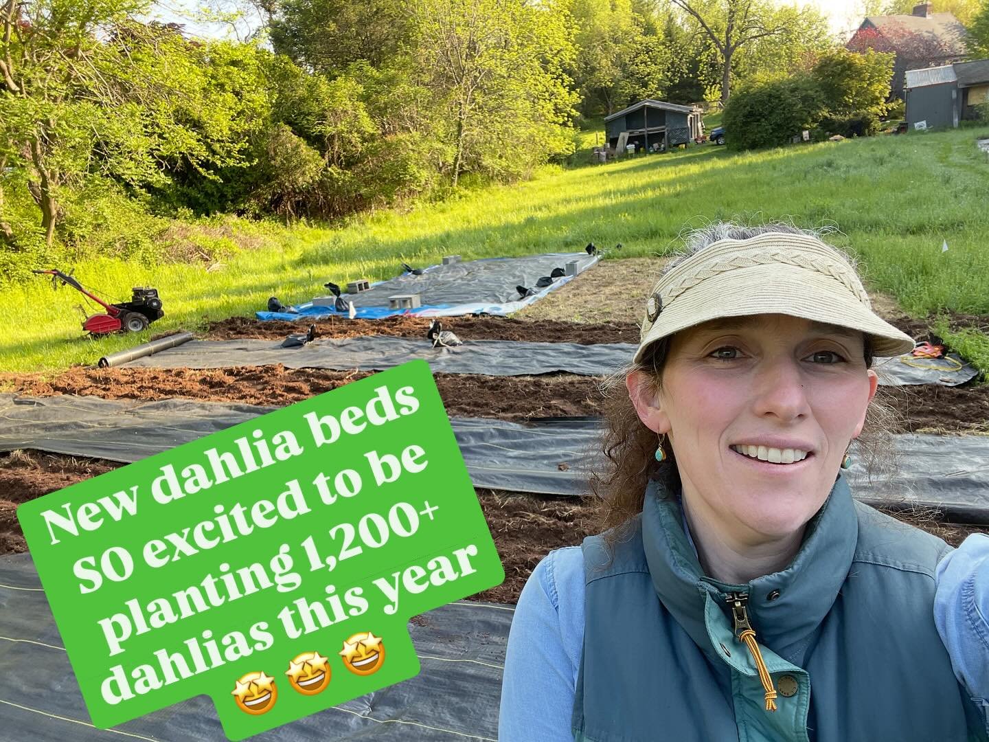 Hello 👋 I&rsquo;m Jacqueline&mdash; the farmer @twomeadowfarm 
I am a dahlia addict!! Can&rsquo;t stop, won&rsquo;t stop 😃 
Please visit us this September to bathe in the glory of hundreds of blooming dahlias 🤩 

#ctgrown #northhavenct #flowerfarm