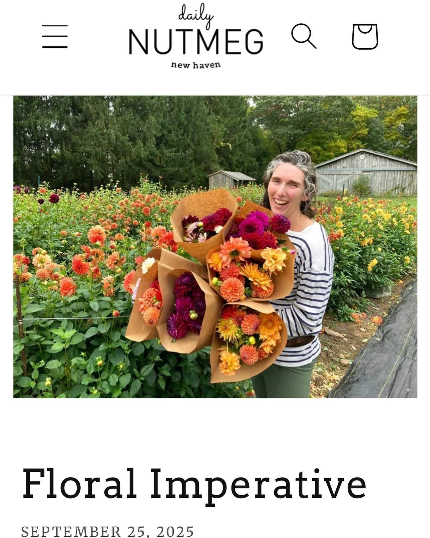 Thank you @dailynutmeg_newhaven for the lovely write up this week ☺️ 💐 🌻 🐝 ❤️ 

Jerome and I couldn&rsquo;t be happier to share our farm with you all this season. We hope you&rsquo;ll stop by before the end of dahlia bloom! We have a few more open