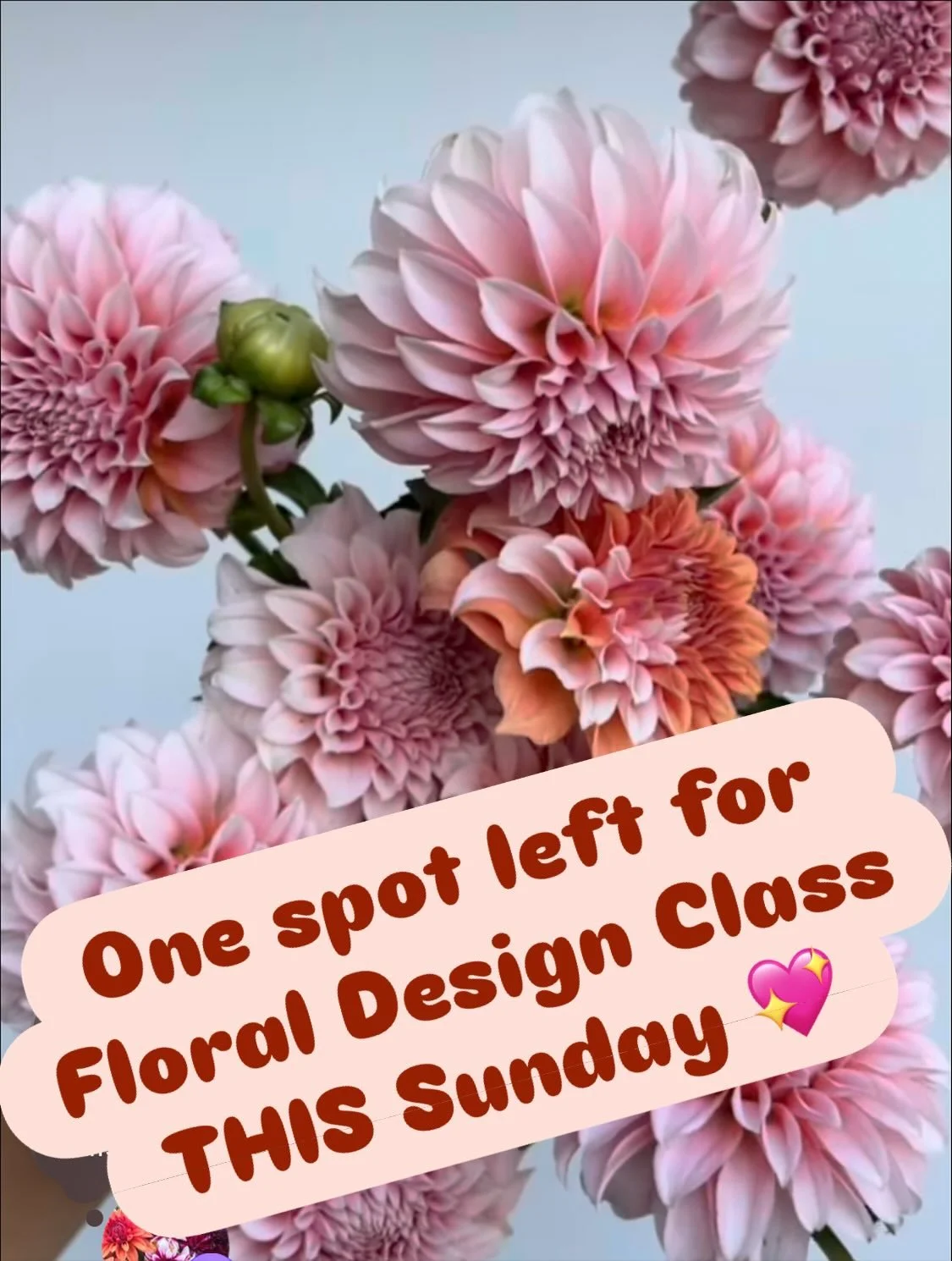 Join us @twomeadowfarm this Sunday 10am for a cozy morning of creativity, dahlias, inspiration, beauty, warm beverages and laughs ✨💖💐

 We will be learning from @mollyoliverflowers a talented and much celebrated floral designer in NYC

Learn new su