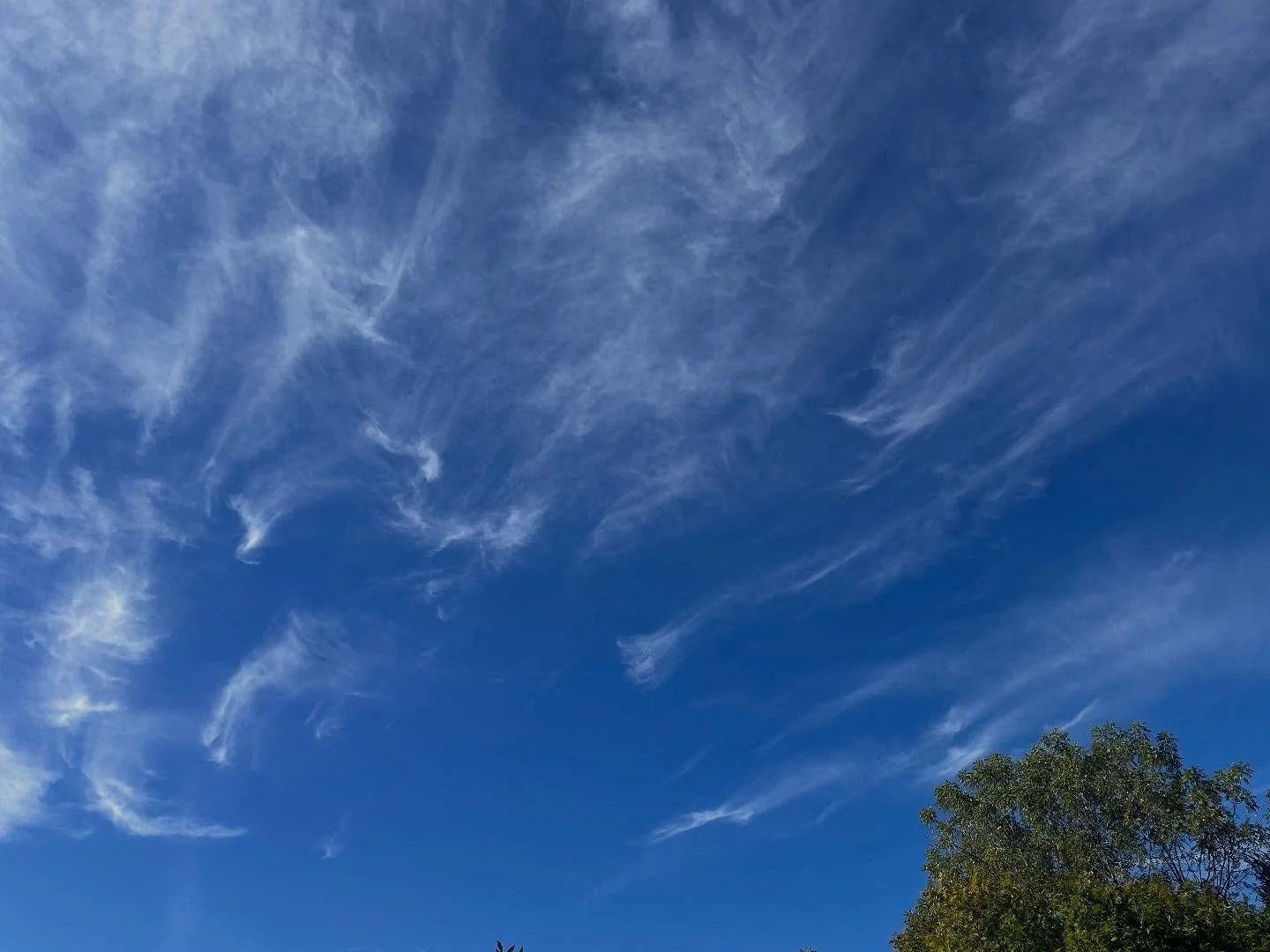 I love a fall sky 💙🦋