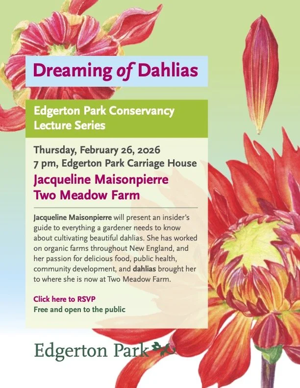 Dreaming of Dahlias - Lecture at Edgerton Park, New Haven 