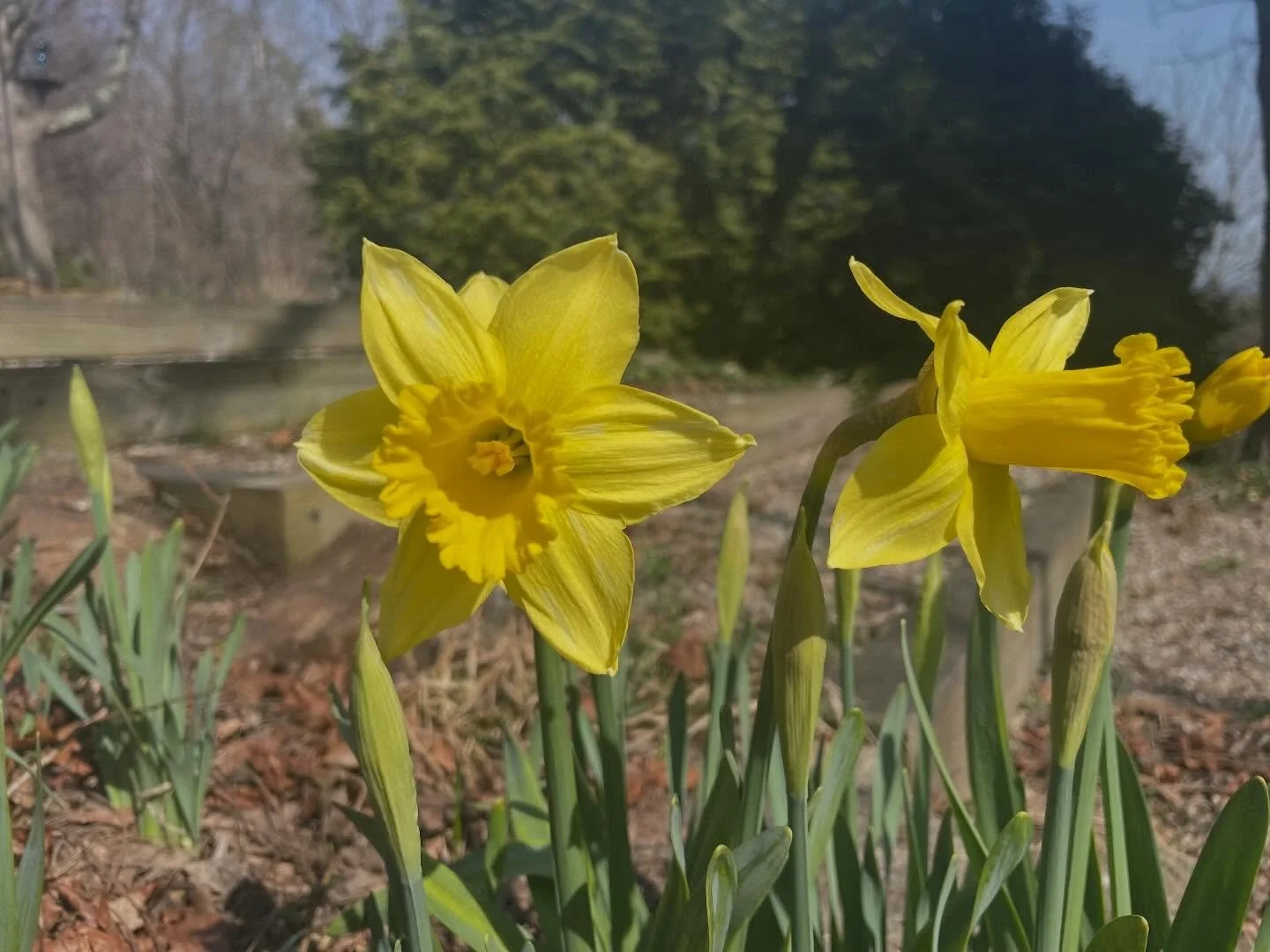 HAPPY Spring ☀️ 🌱 &mdash; We are delighted to welcome spring flowers, lots of eggs and busy getting the farm ready for planting and fun events. Join us on Saturday, April 11th for a Sauna Social 🧖&zwj;♀️ ✨ 🌈 &mdash; a unique Nordic Spa experience 