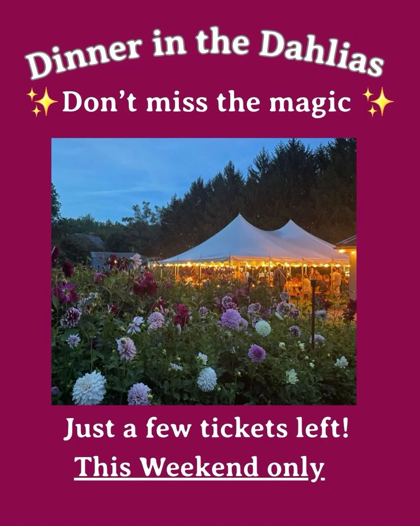 Dinner in the Dahlias &mdash; A magical evening of food, flowers and community. Don&rsquo;t miss it! Tickets are nearly sold out. Link in bio. Saturday and Sunday this weekend. Join us @twomeadowfarm to experience 2,000 dahlias in bloom! @biggreentru