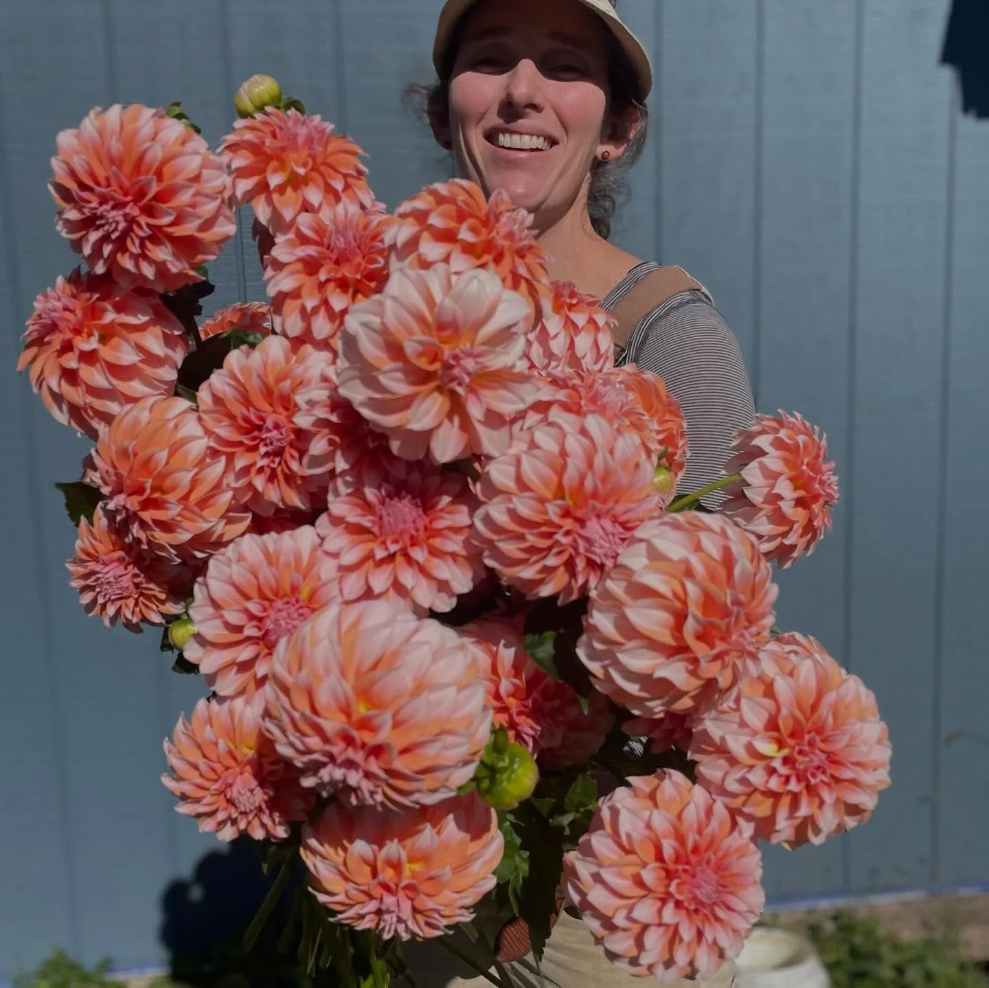 Soaking up all the magic of the last days of dahlias 🤩 
Stay tuned to see if our babies survive the cold 
temps Saturday 🥶 &mdash;- 

#ctgrown
#northhavenct 
#dahliaseason