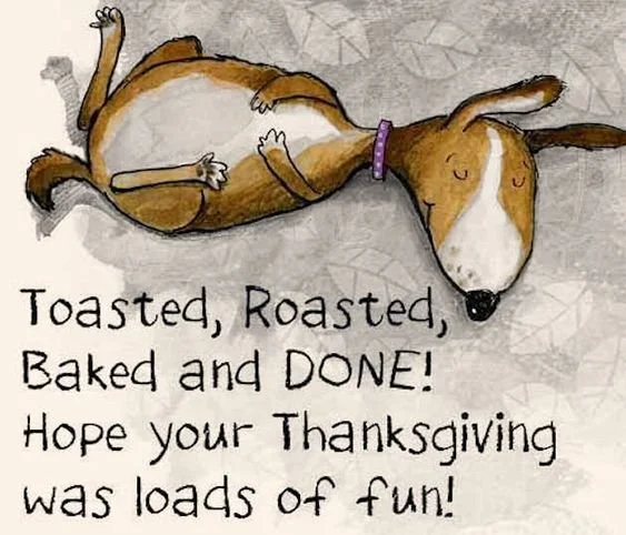 The Day After Thanksgiving