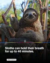 How To Have a Productive Advocacy Call While On Hold for Forty Minutes