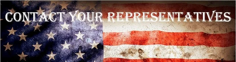 The Cost of “Just Write Your Representative”