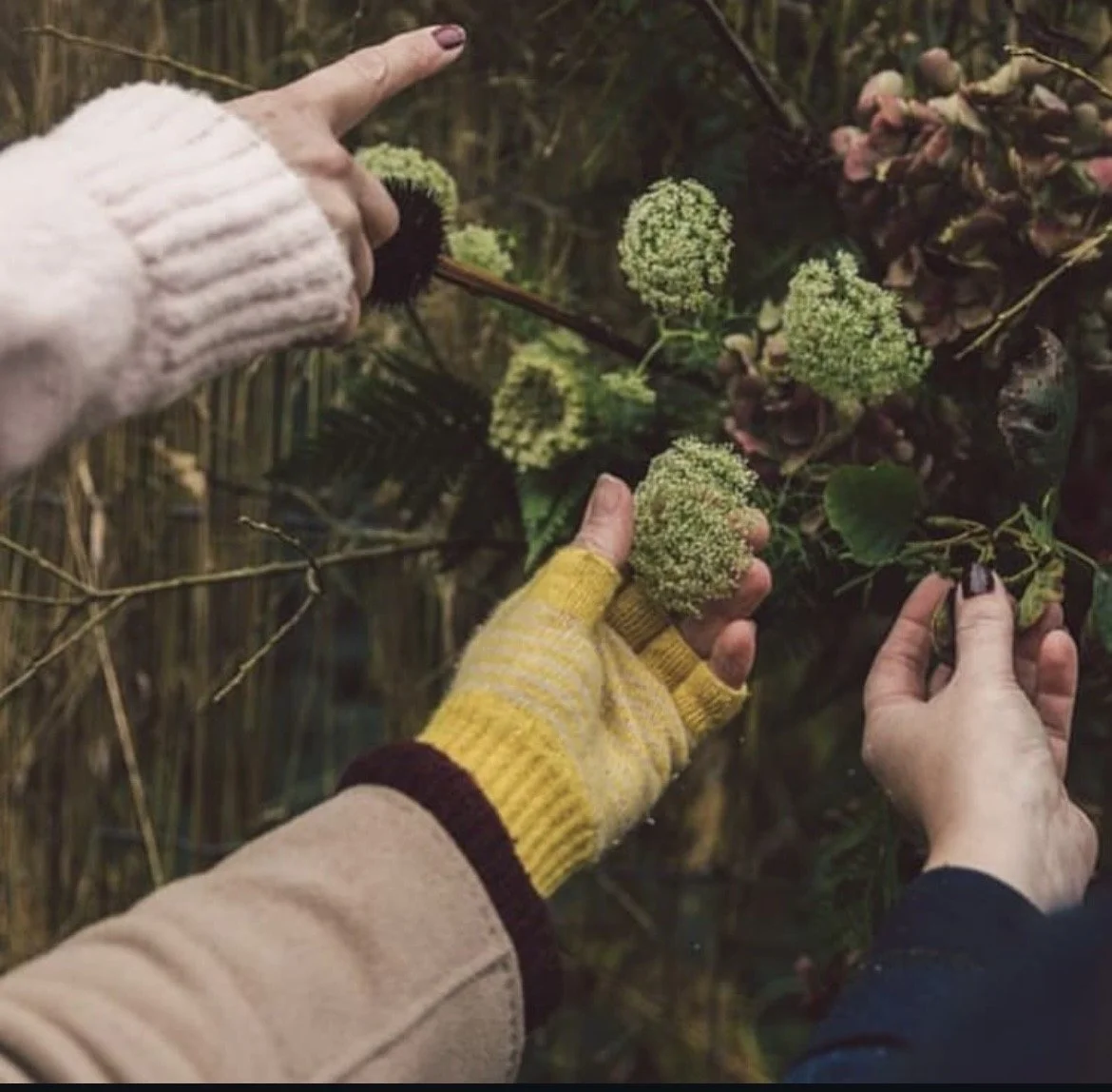 Autumn Flowers Workshop - Sunday 4th October - 12pm