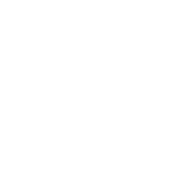 Icon - Target - Location - Accuracy - Black - White