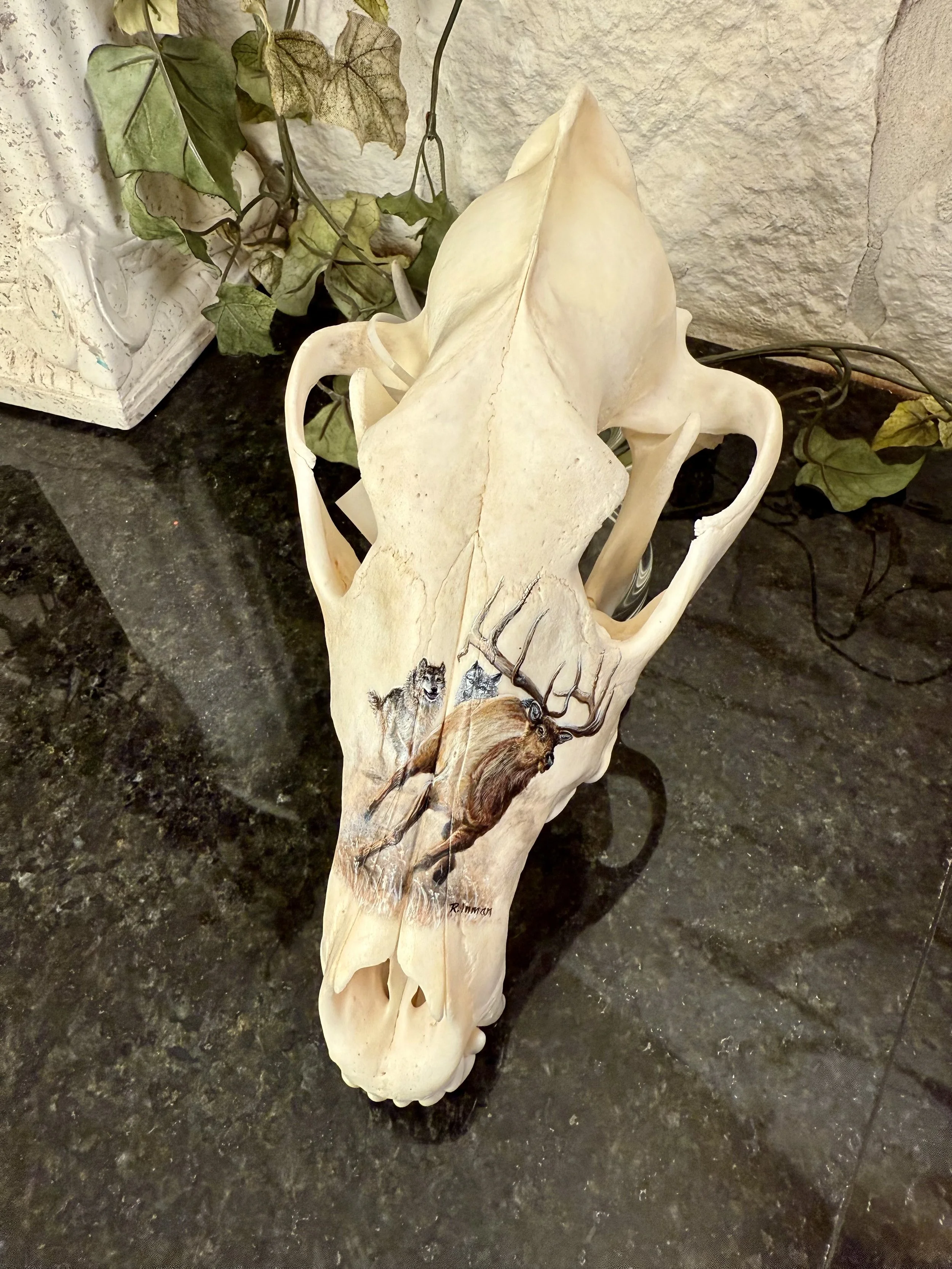 Photo Oct 14 2025, 7 01 33 AM.jpg