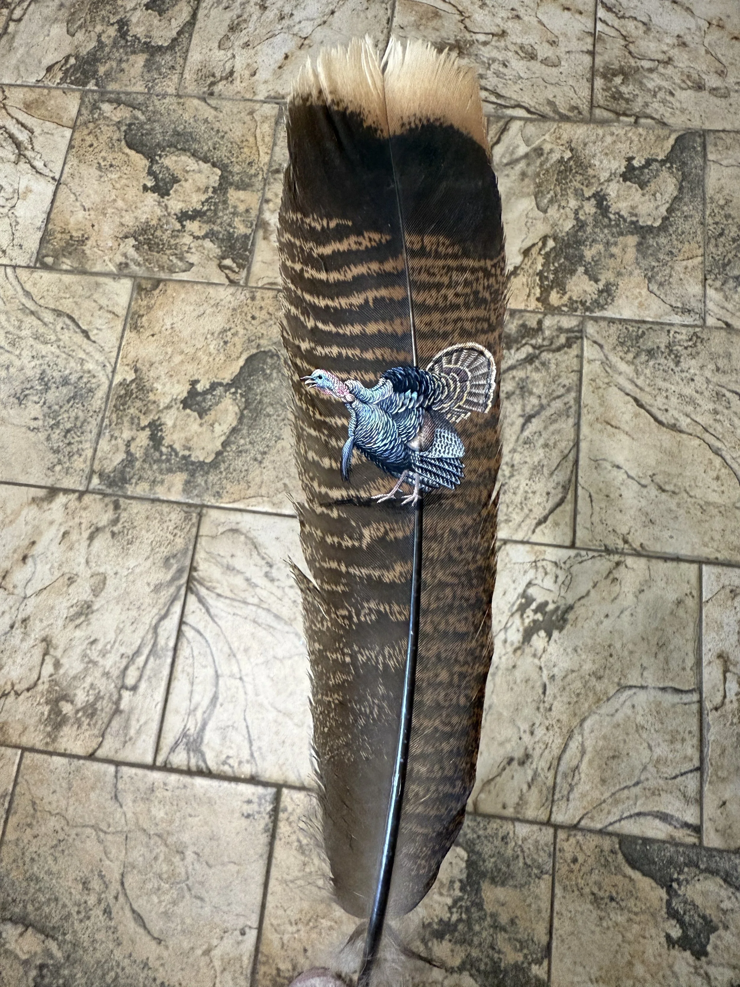 Photo Aug 01 2025, 12 33 27 PM.jpg