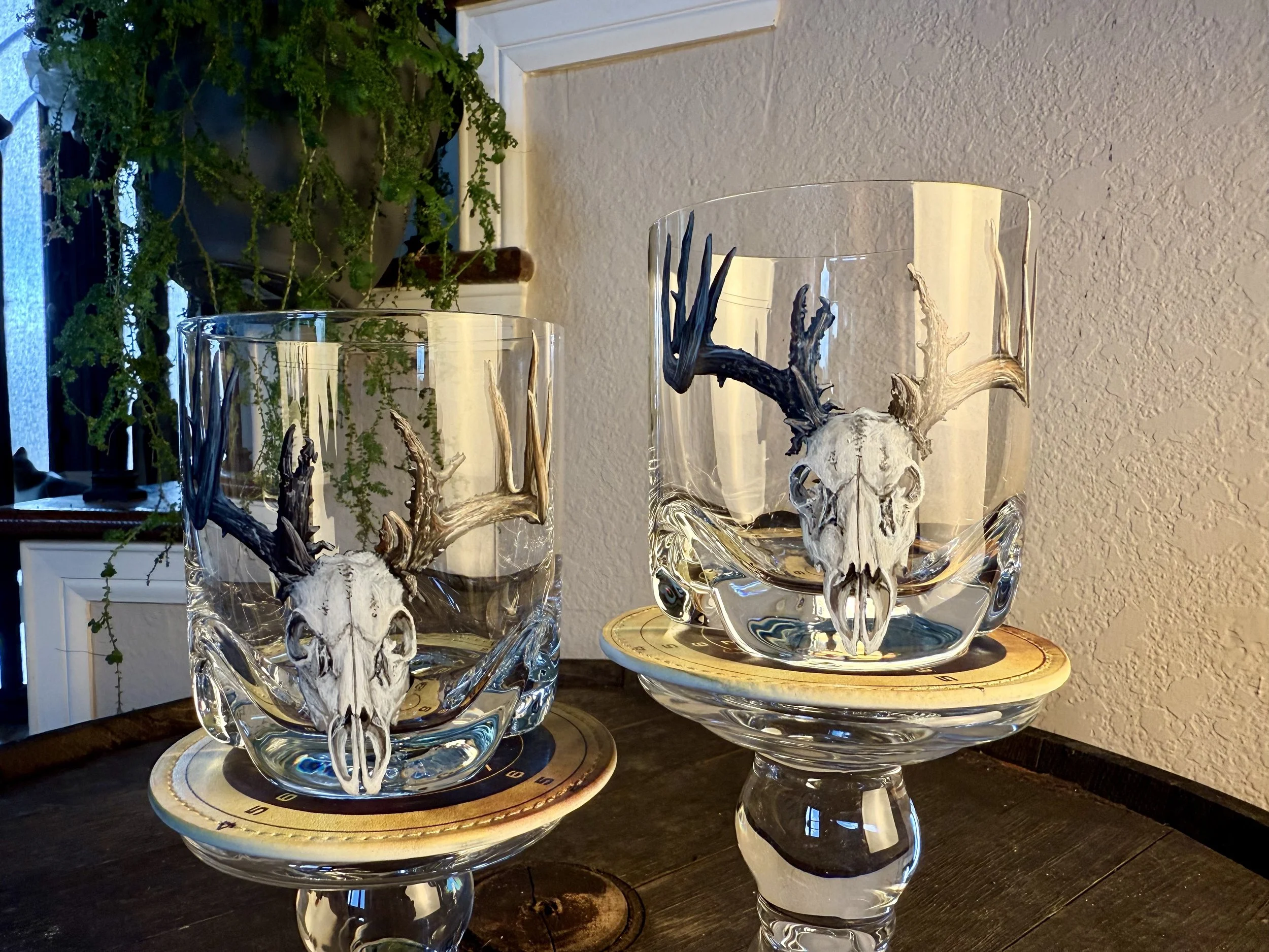 Photo Jun 28 2025, 12 07 05 PM.jpg