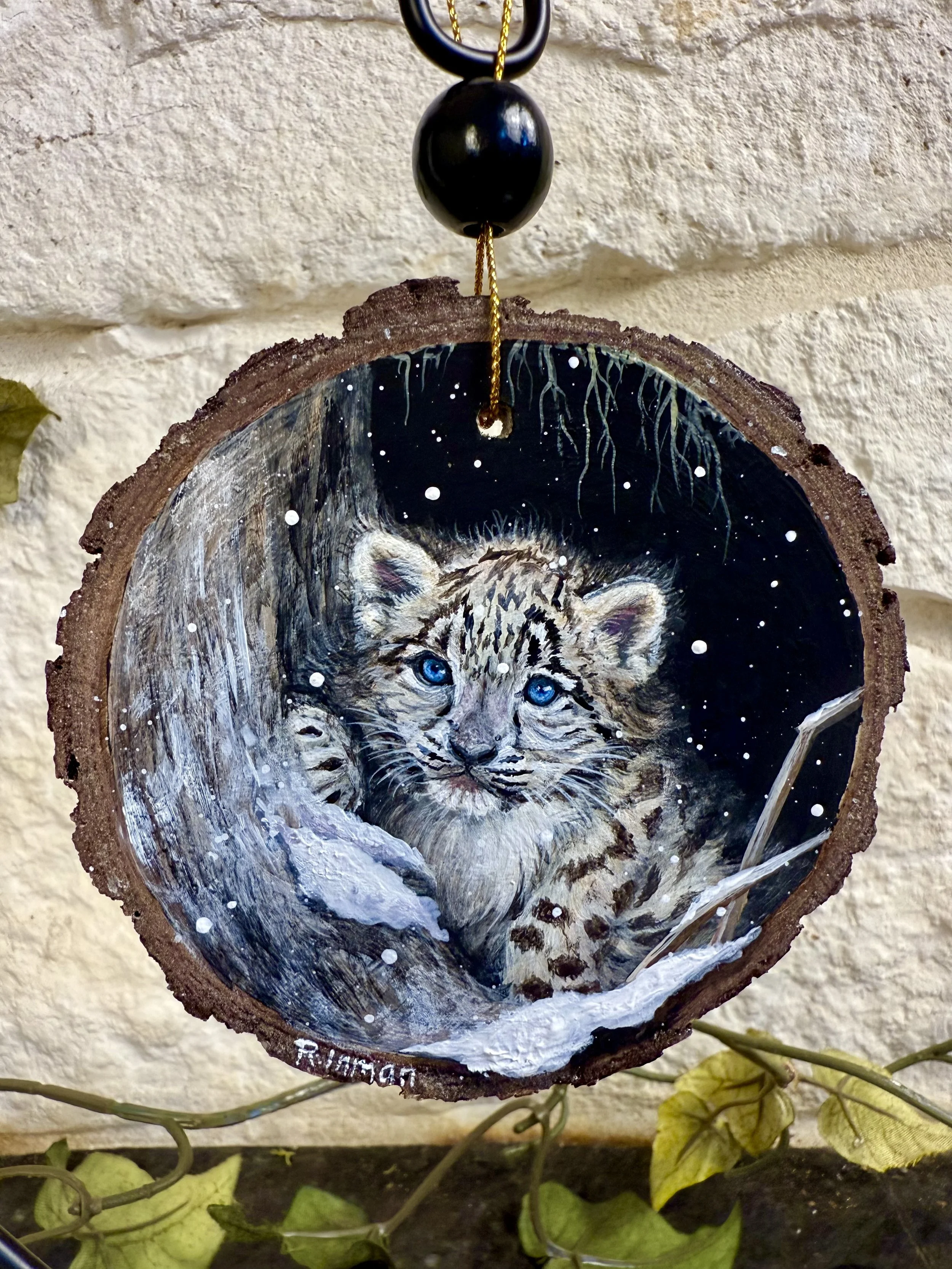 Photo Nov 07 2025, 9 38 02 AM.jpg