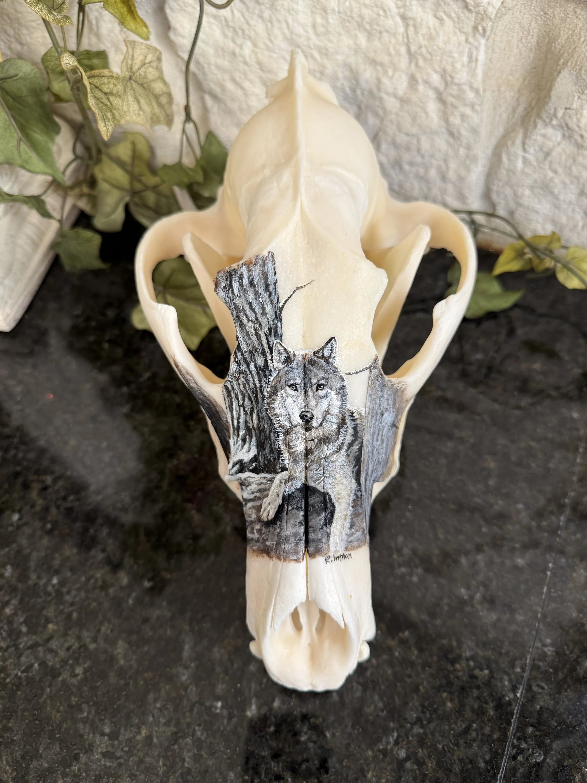 Photo Oct 14 2025, 3 14 24 PM.jpg