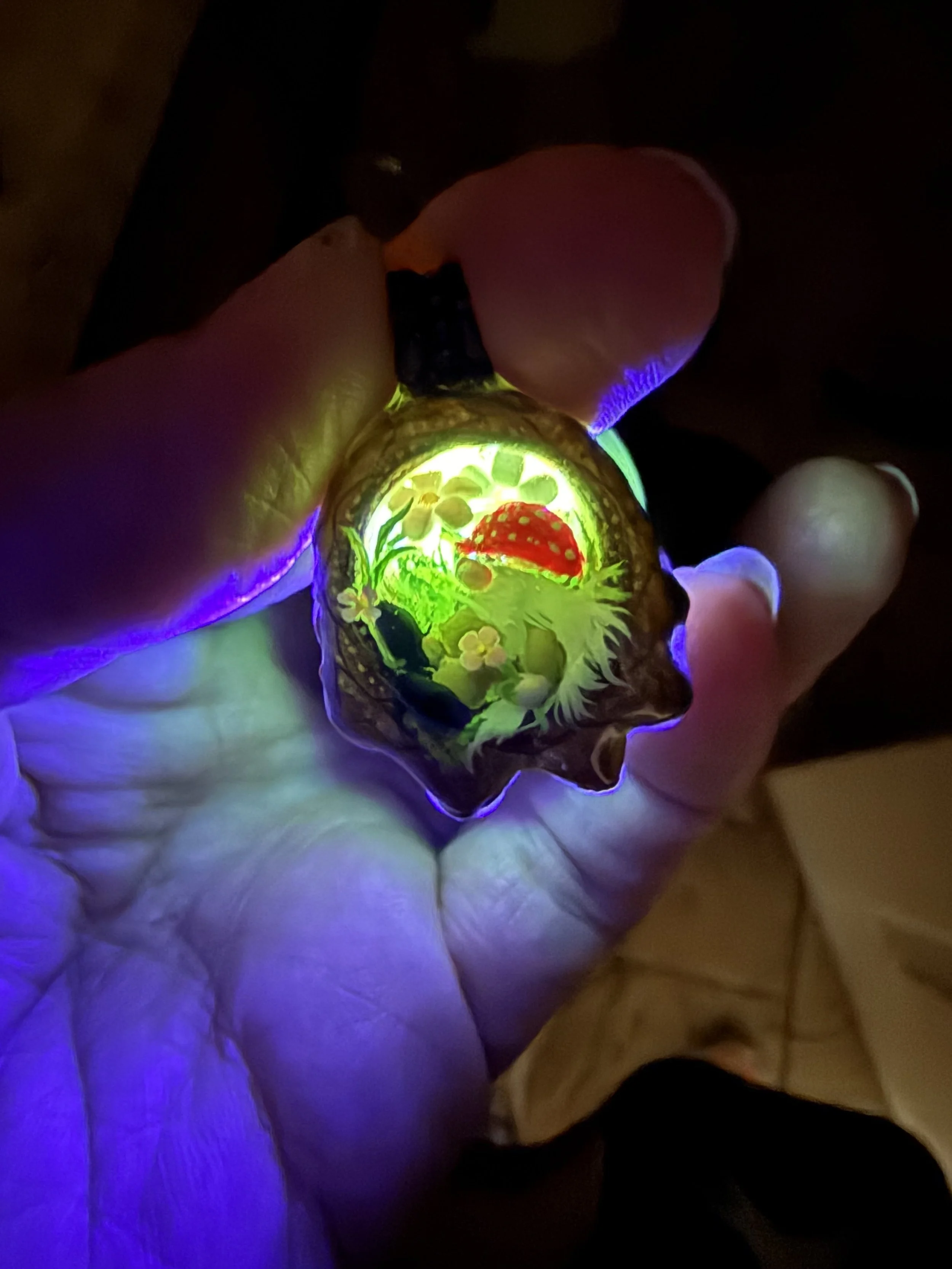 Photo Aug 31 2025, 11 05 04 AM.jpg