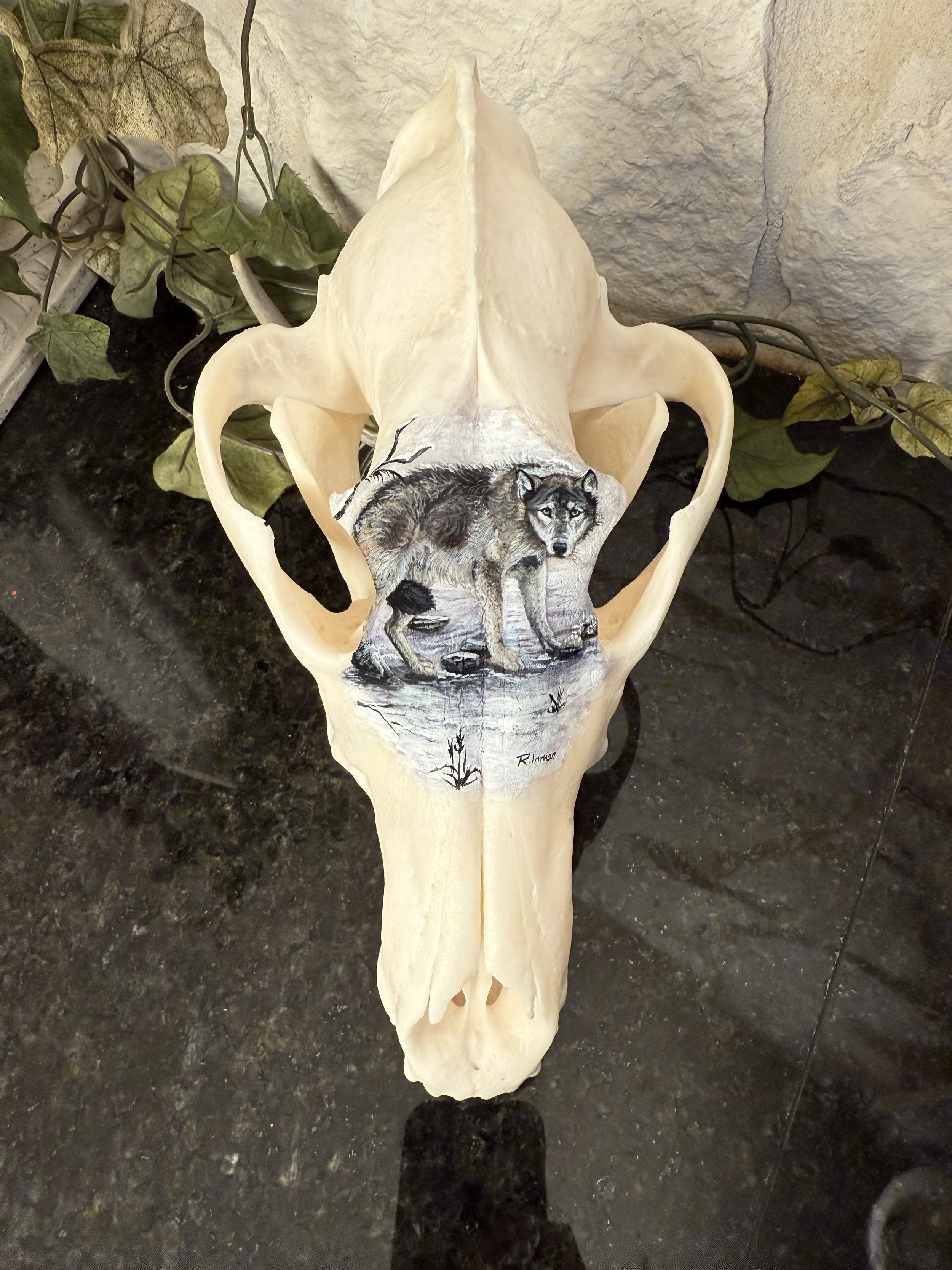 Photo Oct 14 2025, 3 13 22 PM.jpg