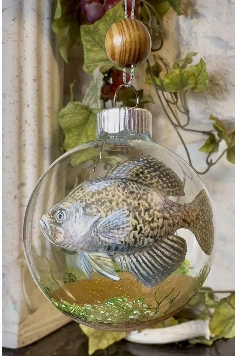 Photo Nov 05 2025, 7 21 44 AM.jpg