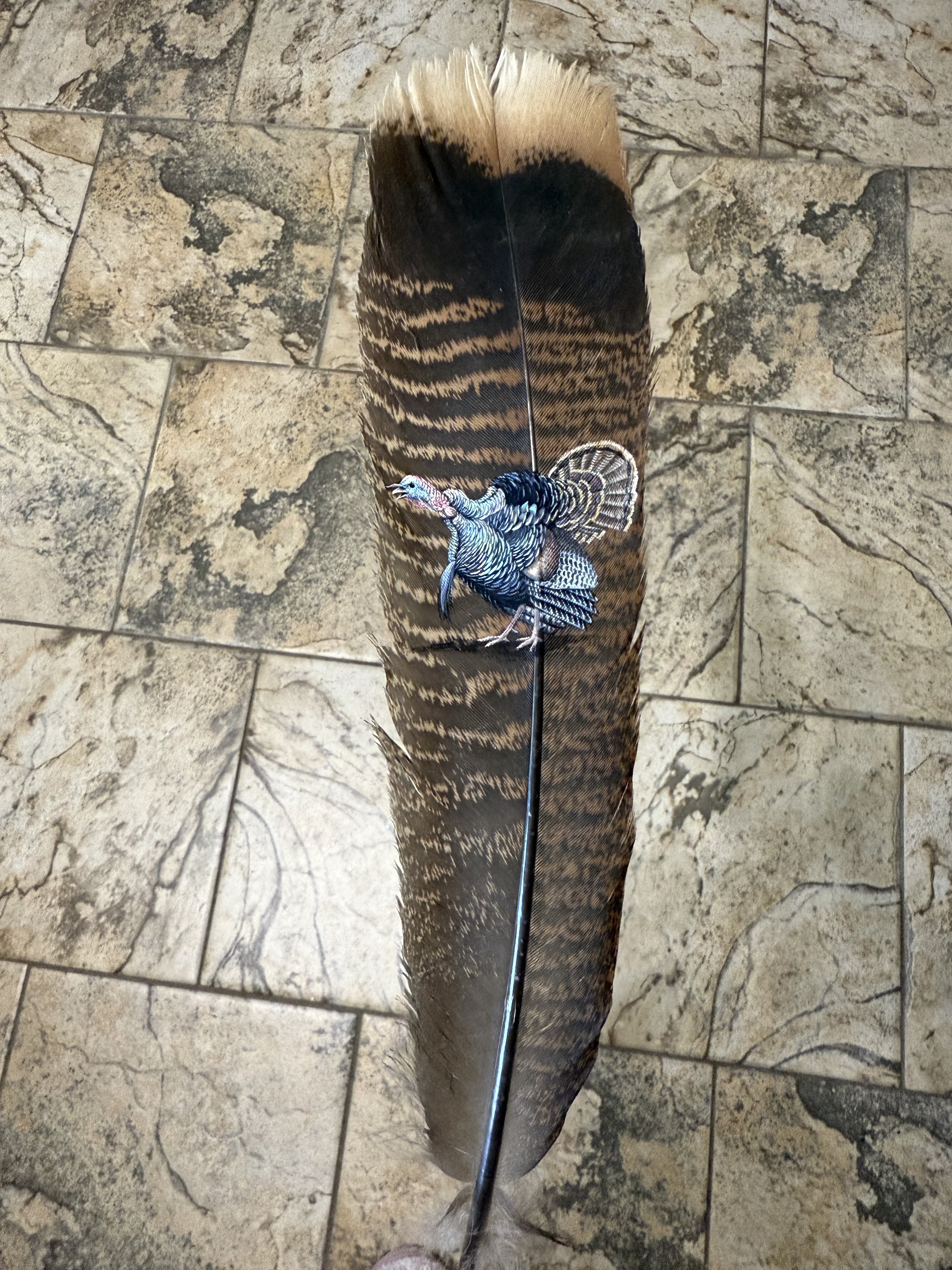 Photo Aug 01 2025, 12 33 27 PM.jpg