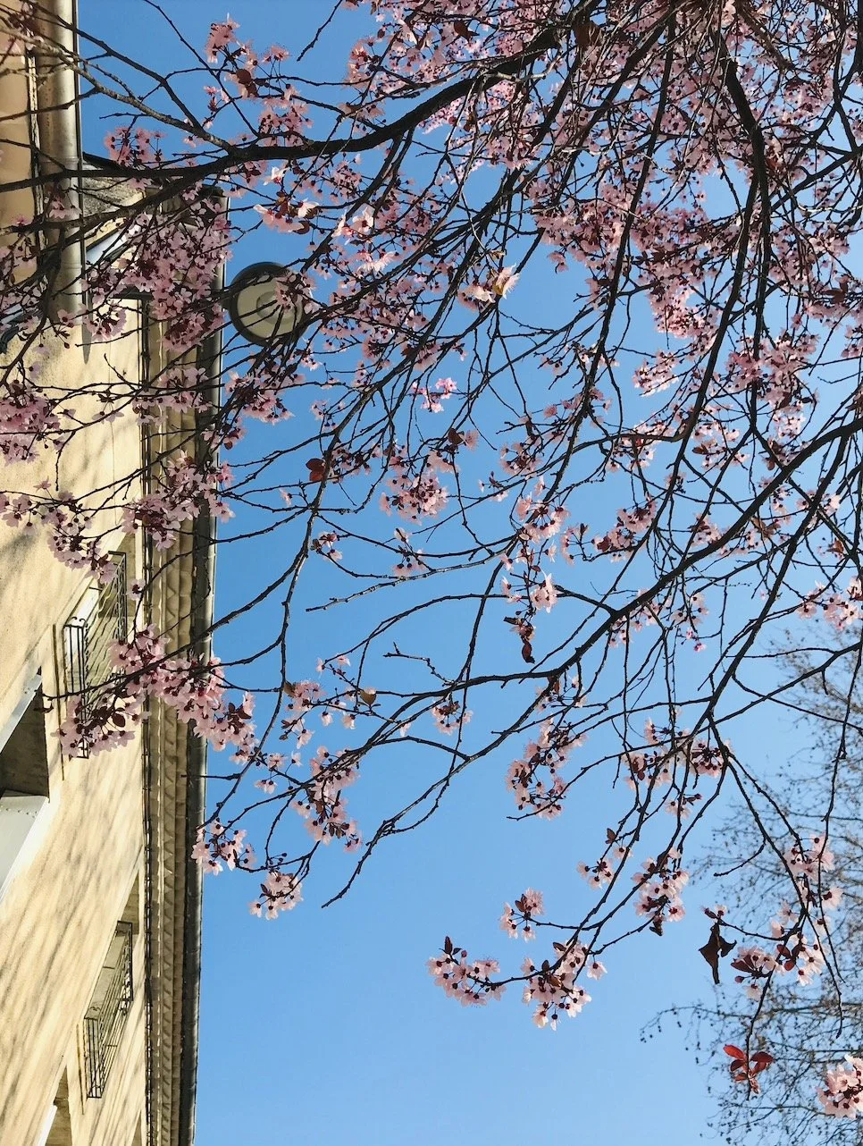 De lente is geen reset