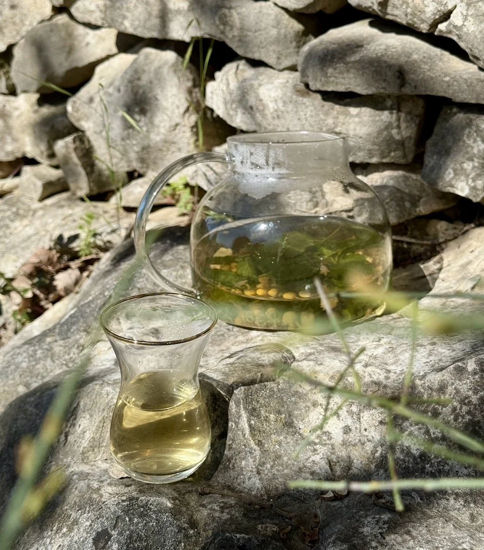 Ontdekken: Kruiden en verzorging