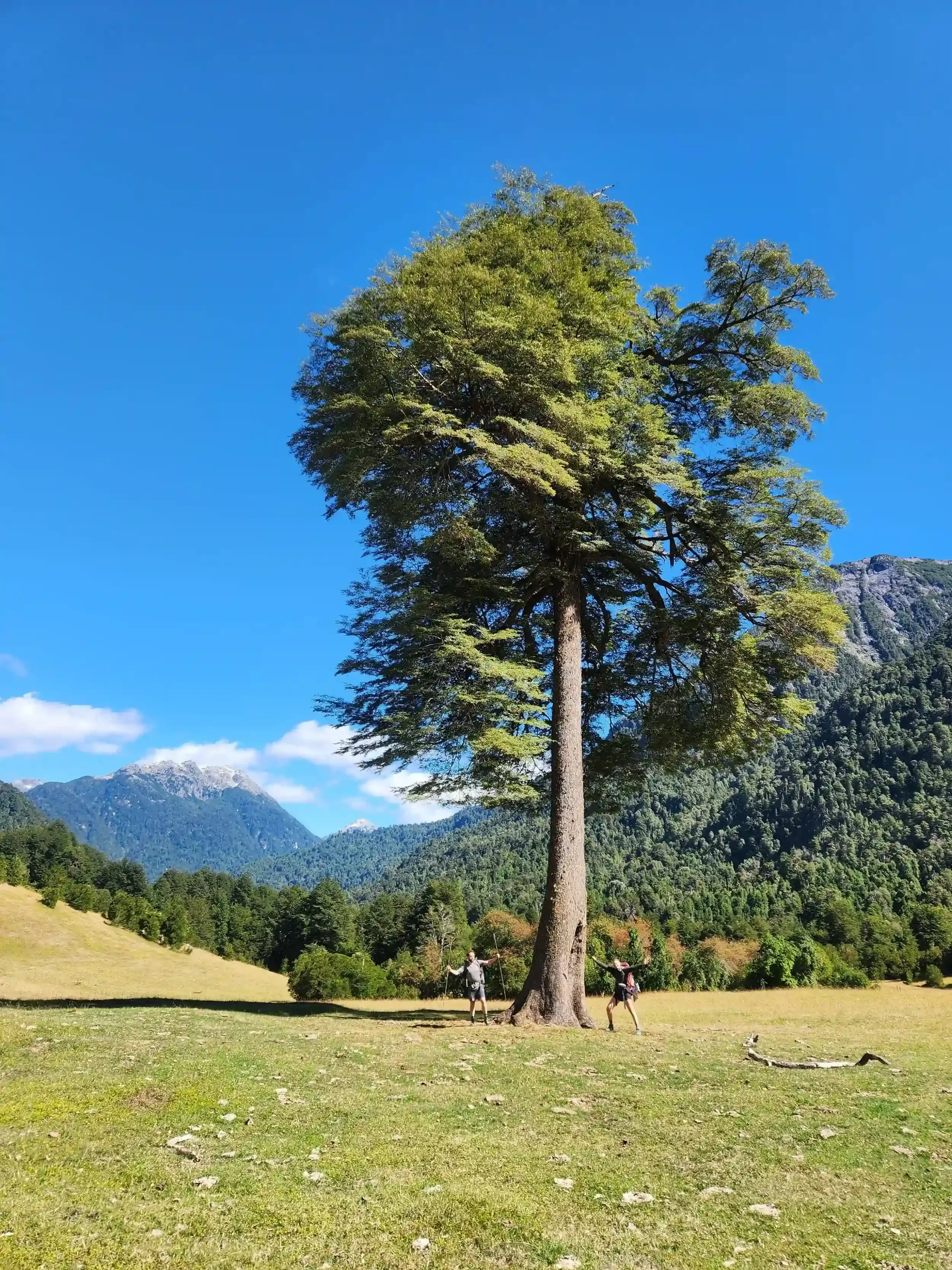 Paso-Vuriloche-BAriloche-Hike
