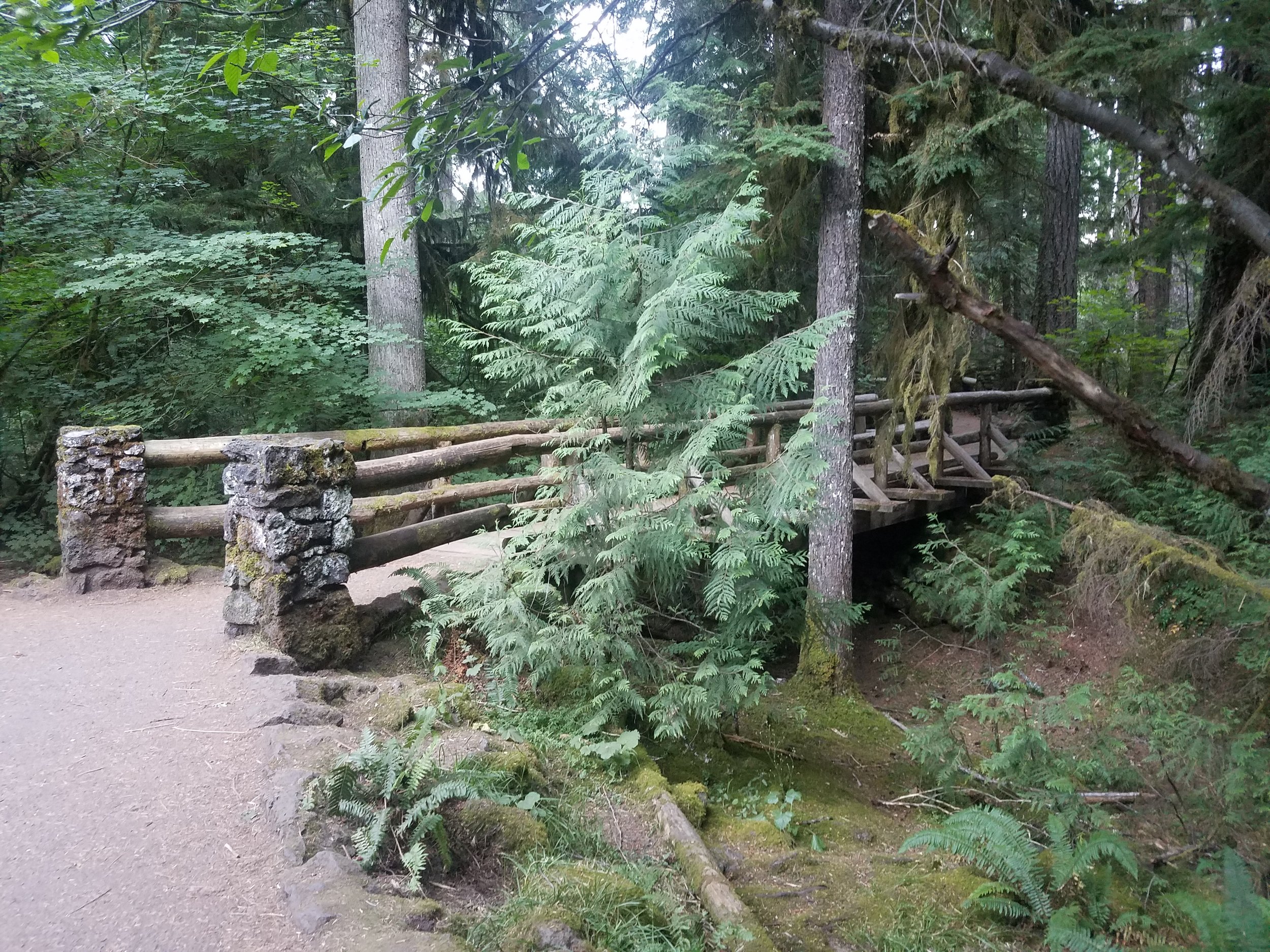 20180804_194041.jpg