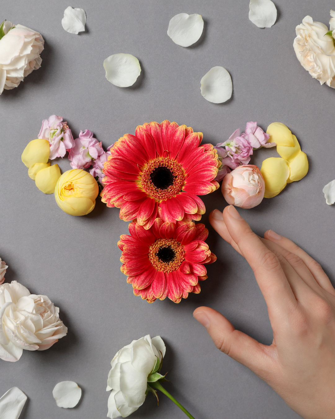 Untitled design (5).png